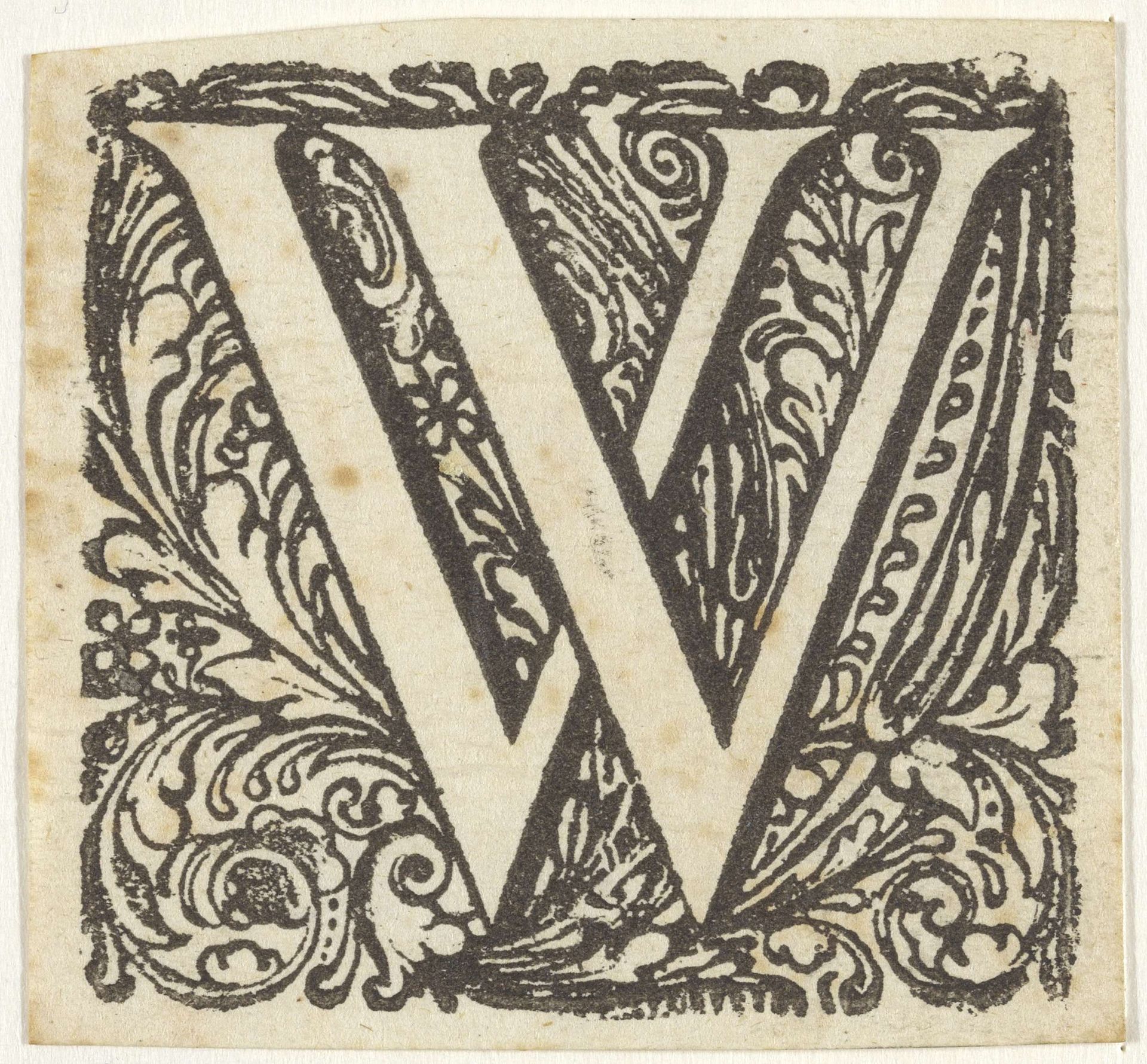 Letter W in een geornamenteerde omlijsting by Anonymous