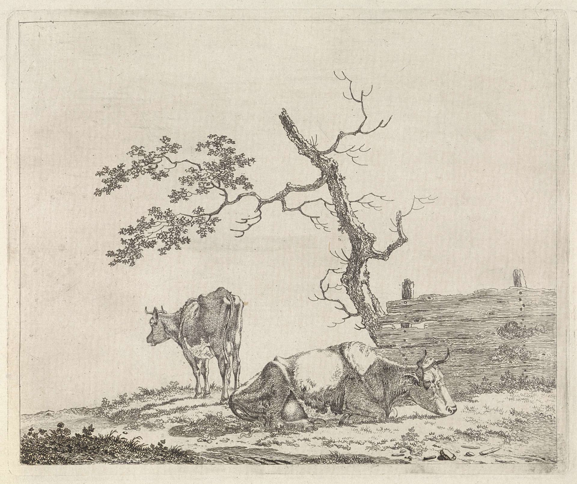 Twee koeien bij hek by Pieter Janson