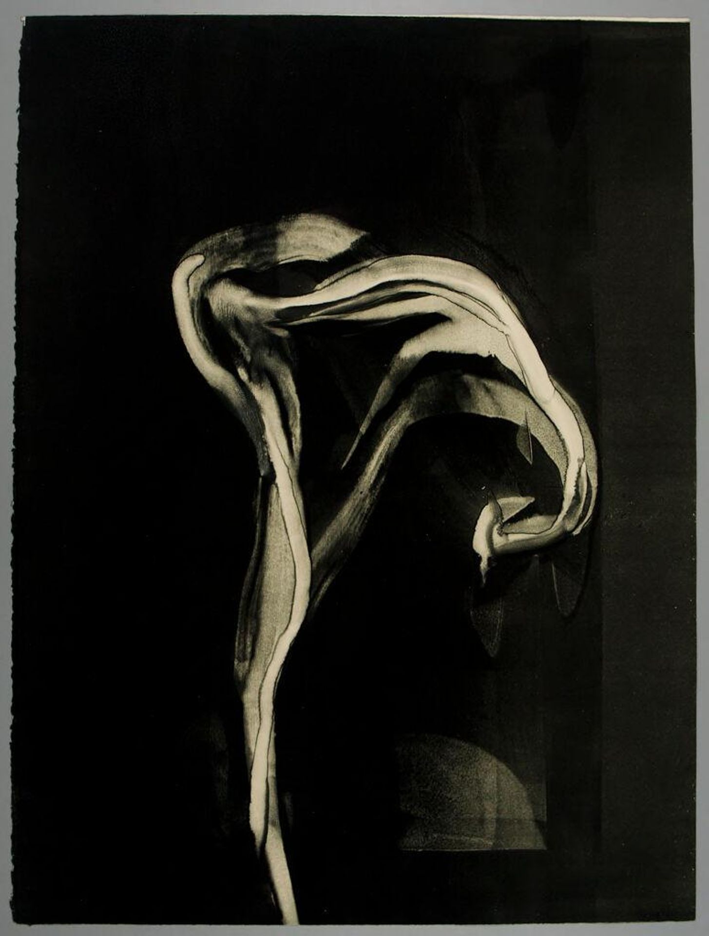 Gesture of the Calla, 4 by Michael Mazur