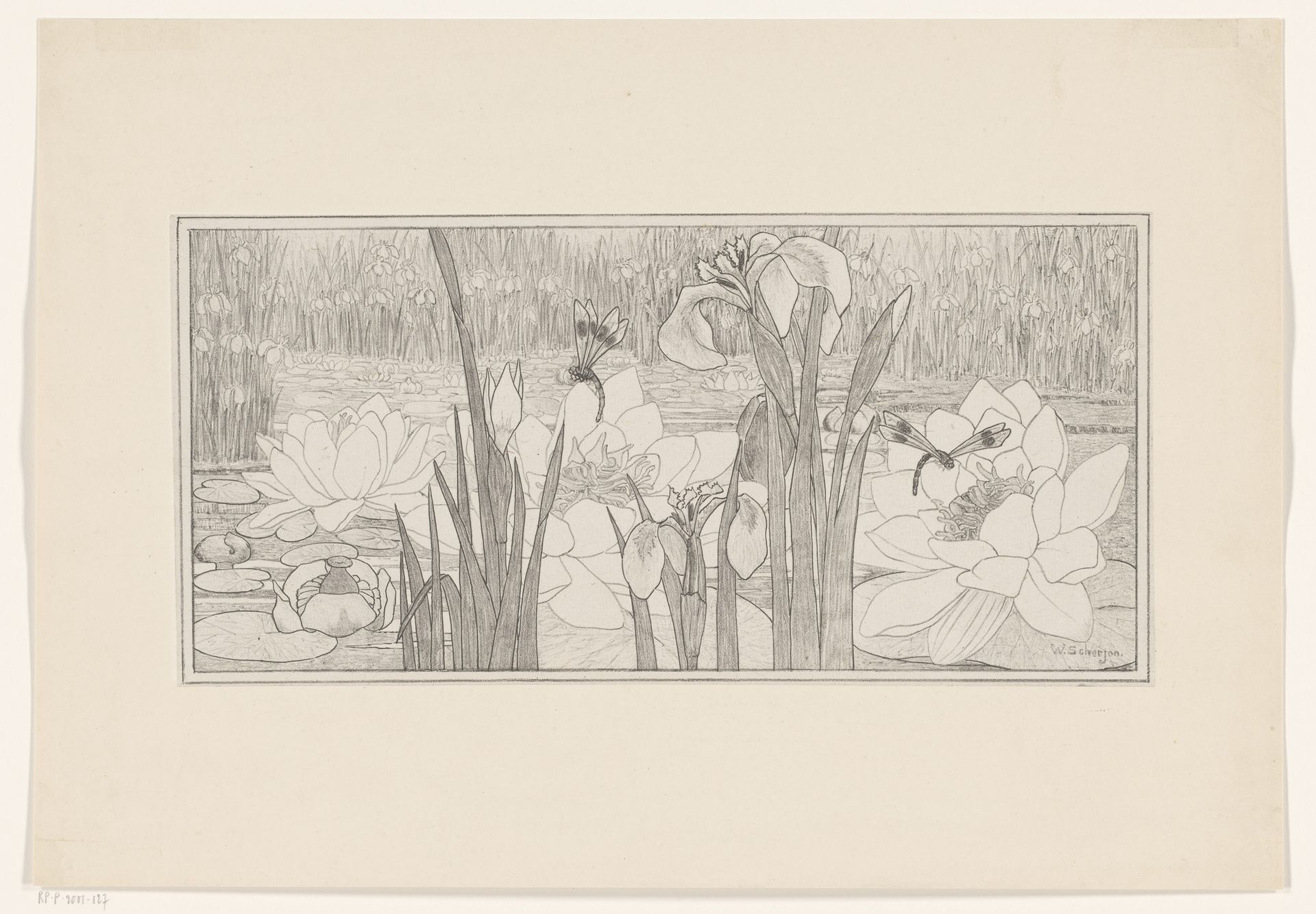 Waterlelies by Willem C. Scherjon