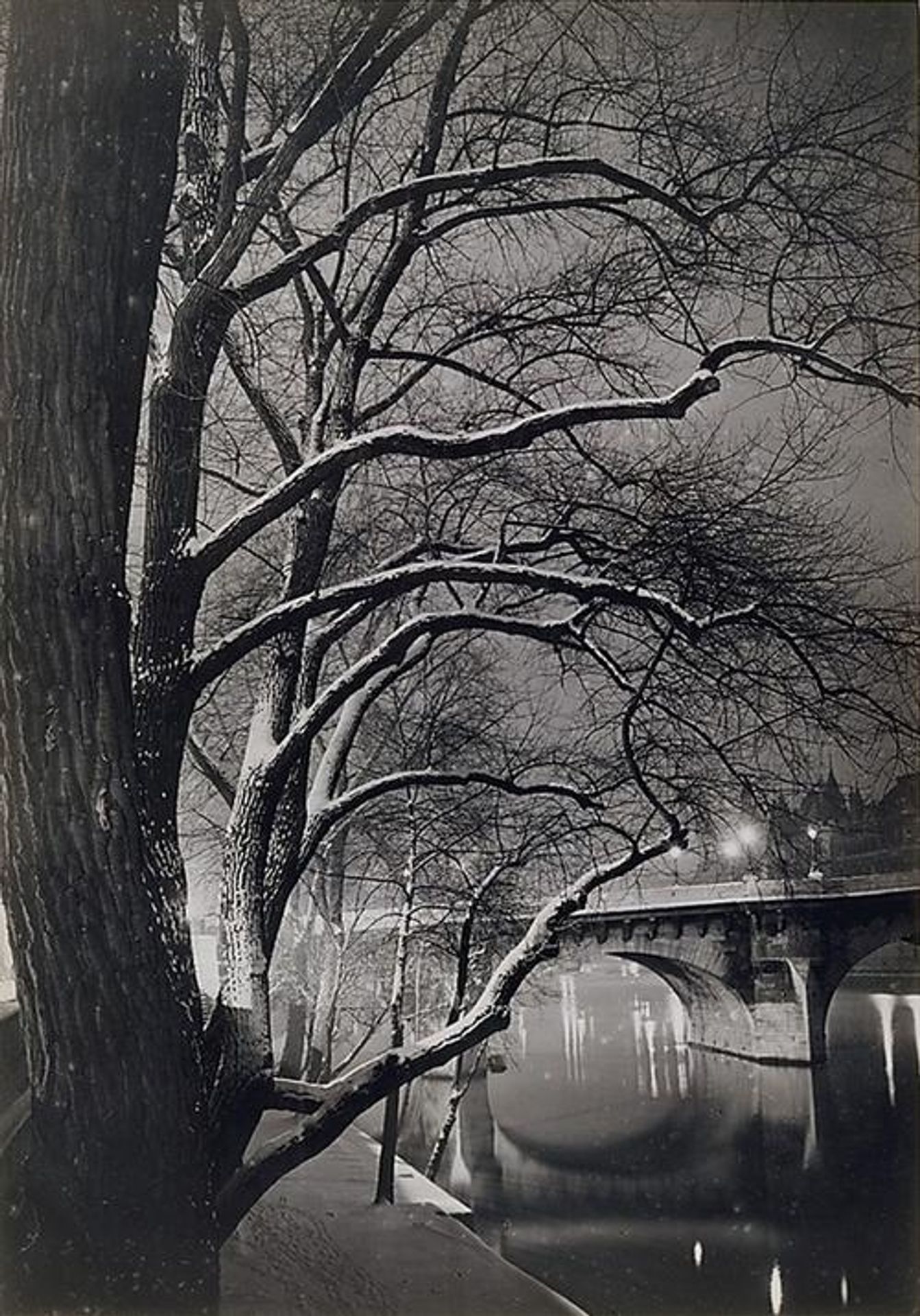 Les arbres des quais avec le Pont-Neuf by Brassai