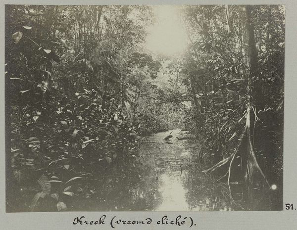 Slide 12