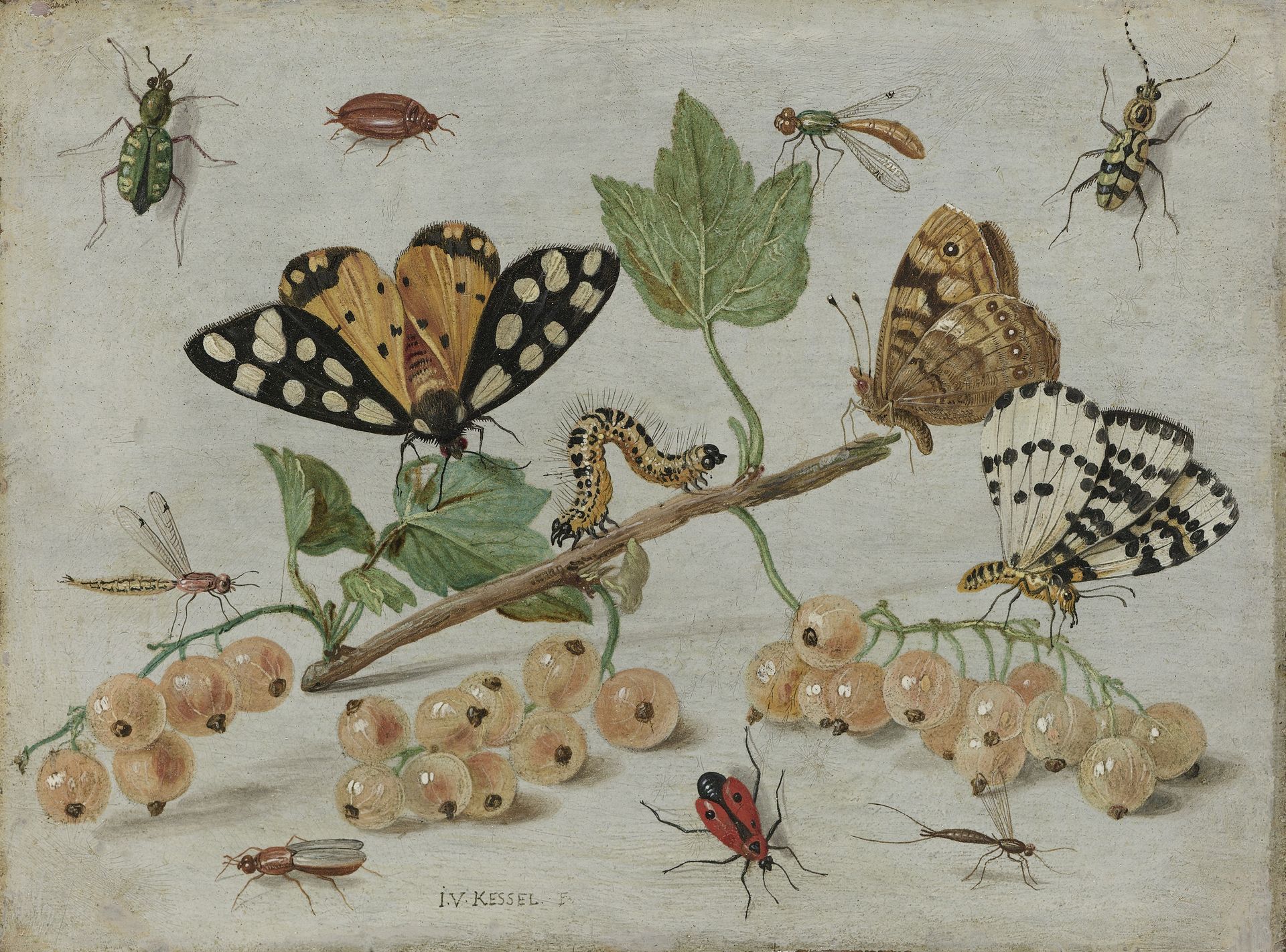 Insects and Fruit by Jan van Kessel