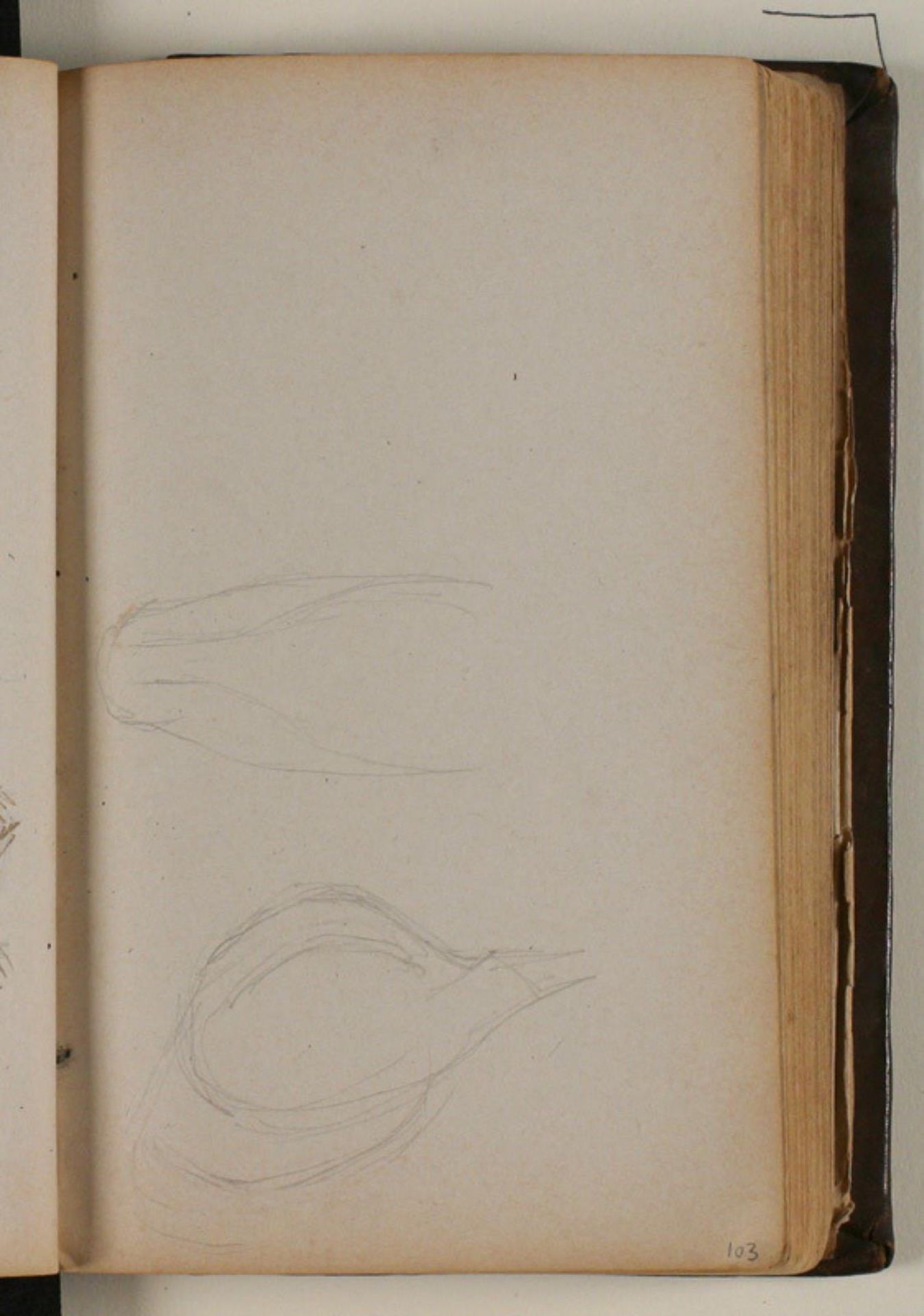 Studier af vildsvin by Niels Larsen Stevns