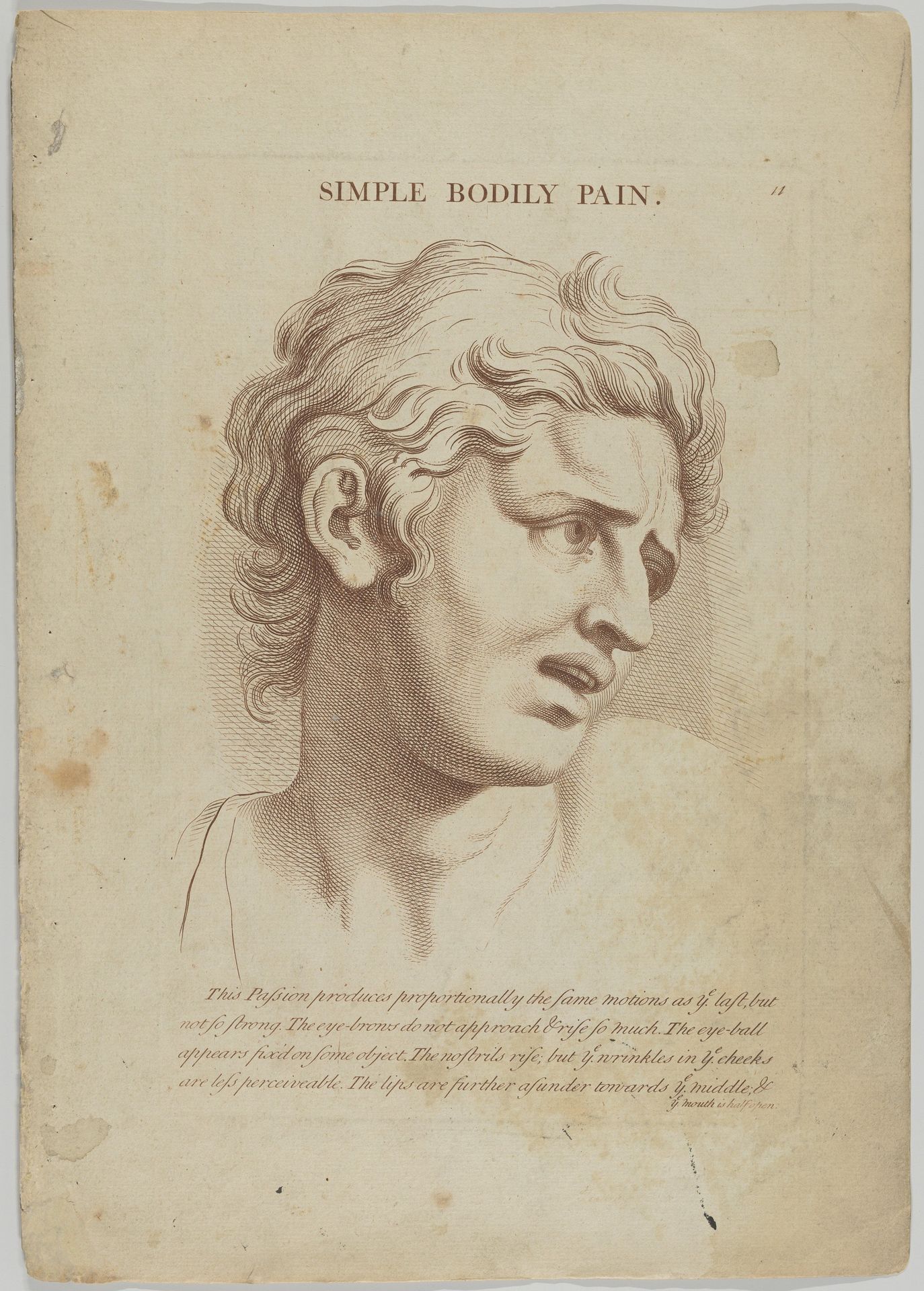 Simple Bodily Pain (from "Heads Representing the Various Passions of the Soul; as they are Expressed in the Human Countenance: Drawn by that Great Master Monsieur Le Brun") by Anonymous