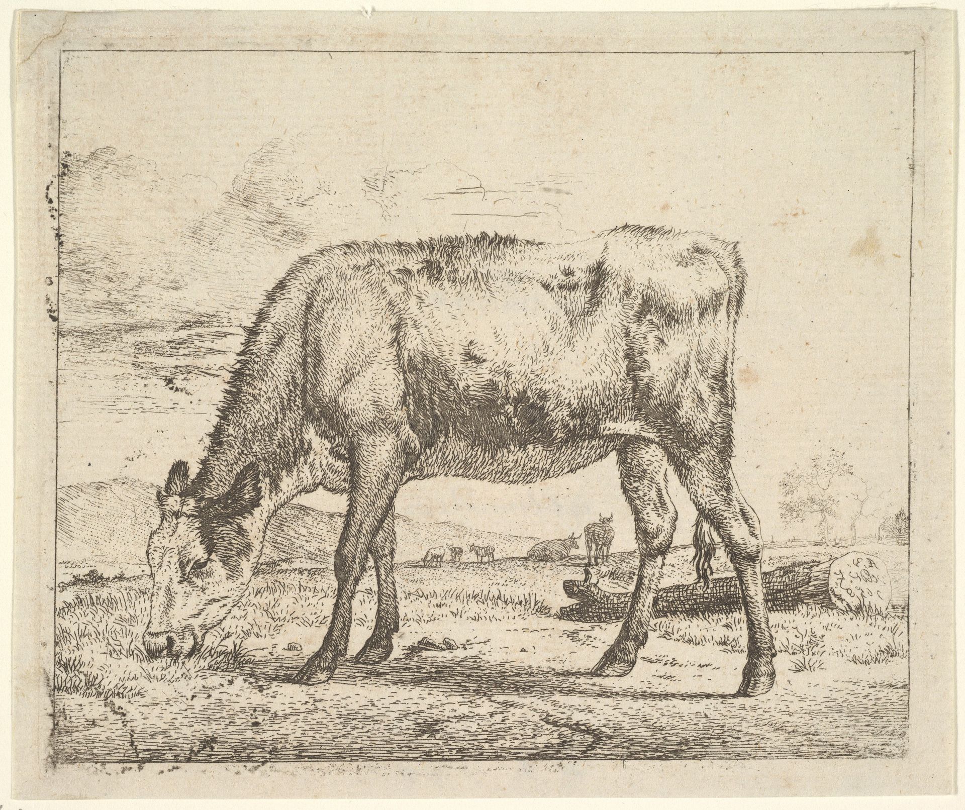 Grazing Calf, from Different Animals by Adriaen van de Velde