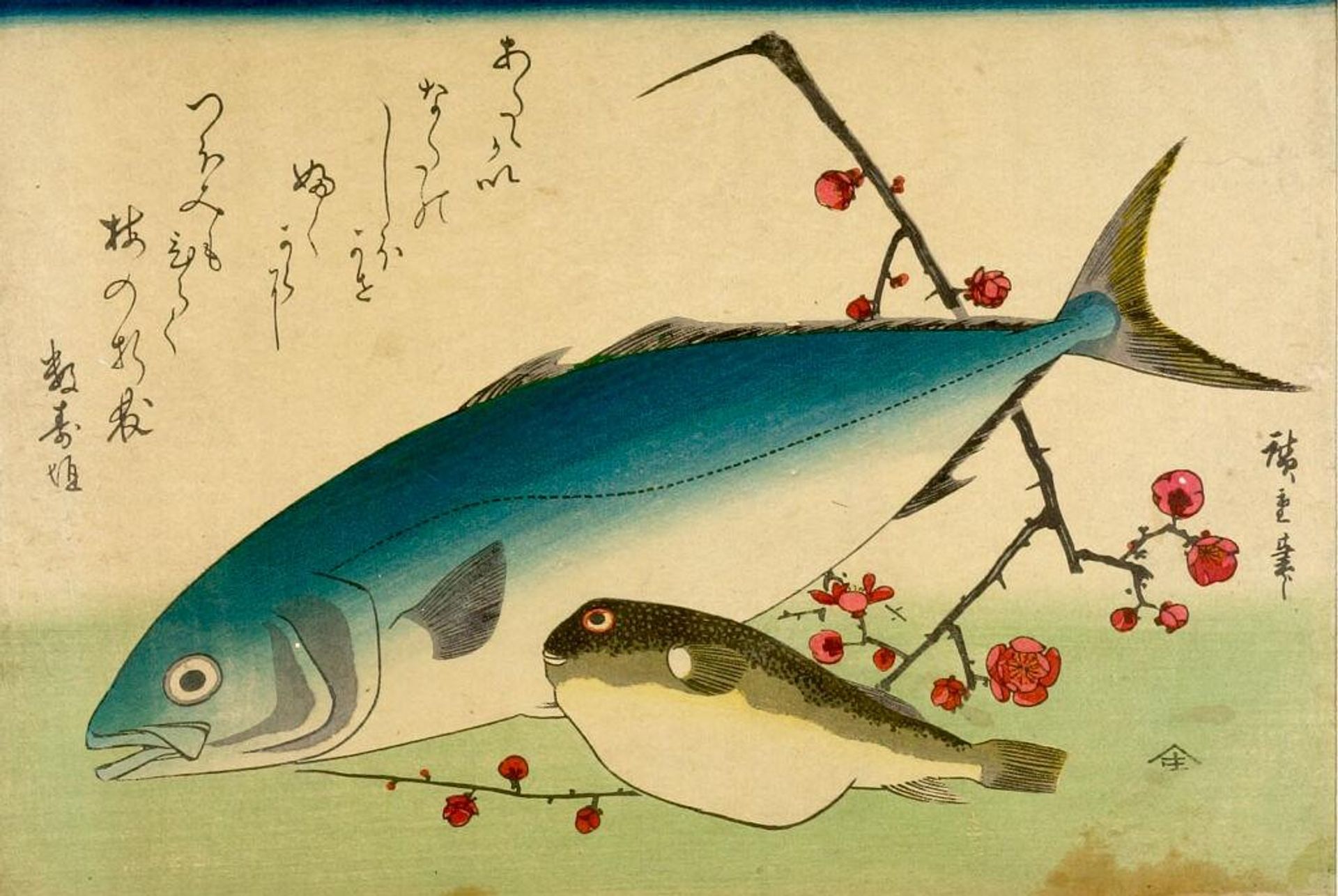 Yellowtail (Inada), Blowfish (Fugu) and Prunus (Ume), from the series A Shoal of Fishes (Uo-zukushi) by Utagawa Hiroshige