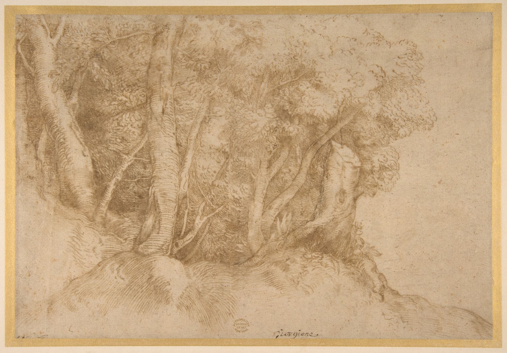 Group of Trees by Titian