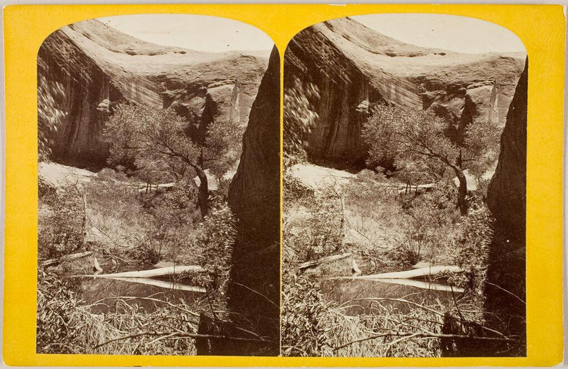Water Pocket in a Glen by J. Fennimore