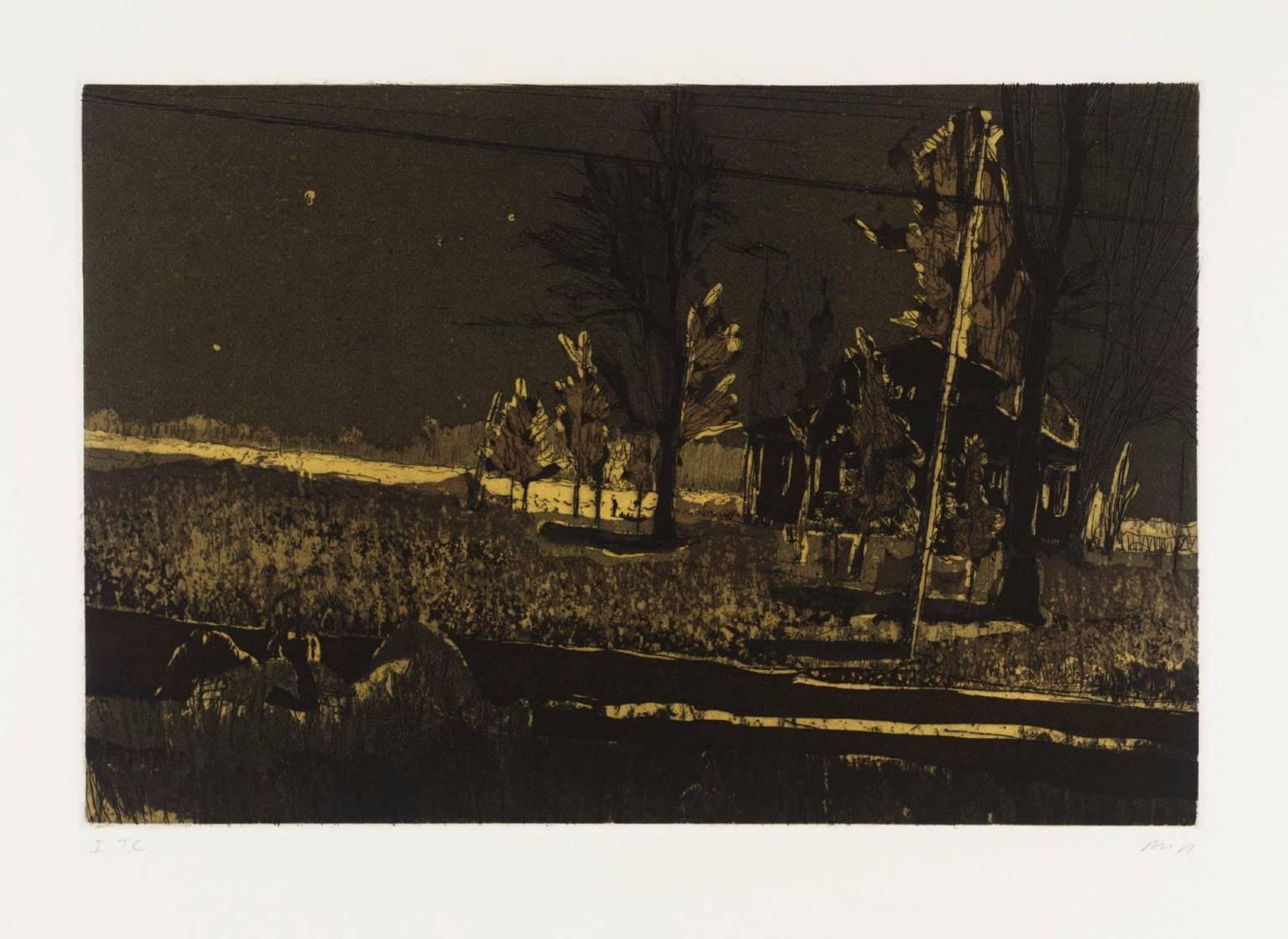Daytime Astronomy by Peter Doig