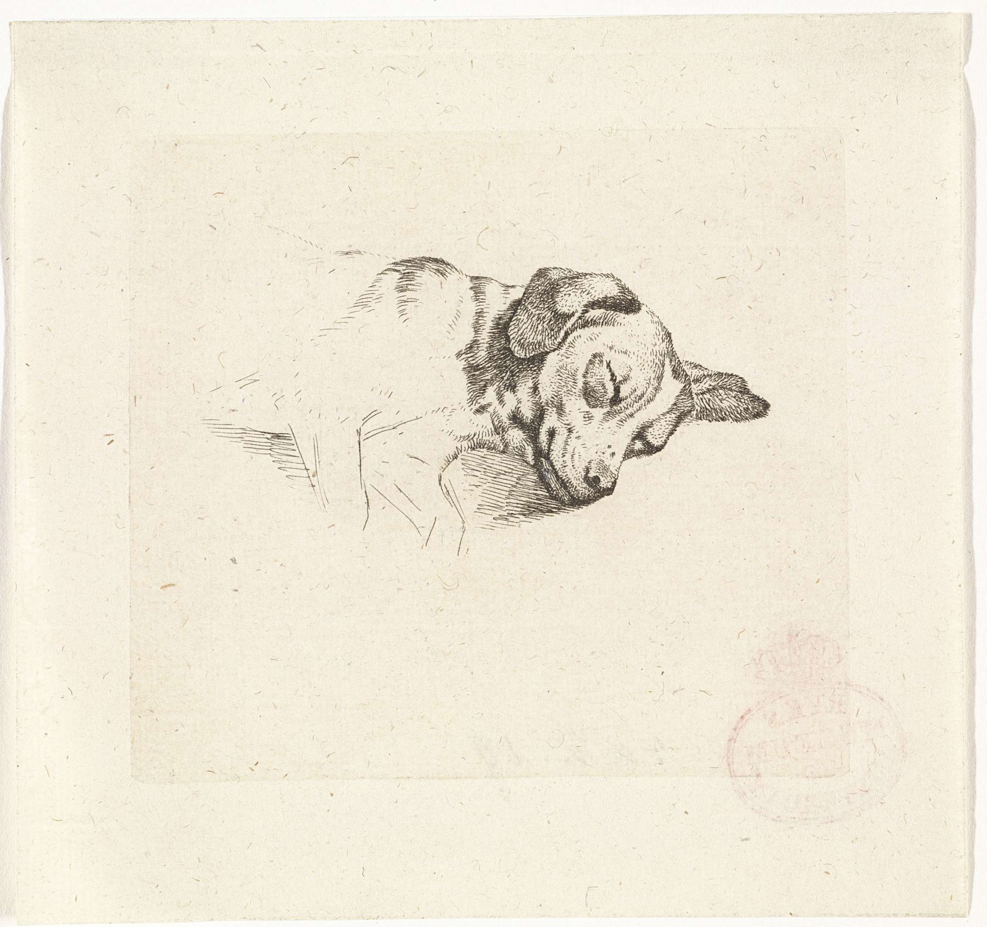 Kop van een slapende hond by Wouter Johannes van Troostwijk