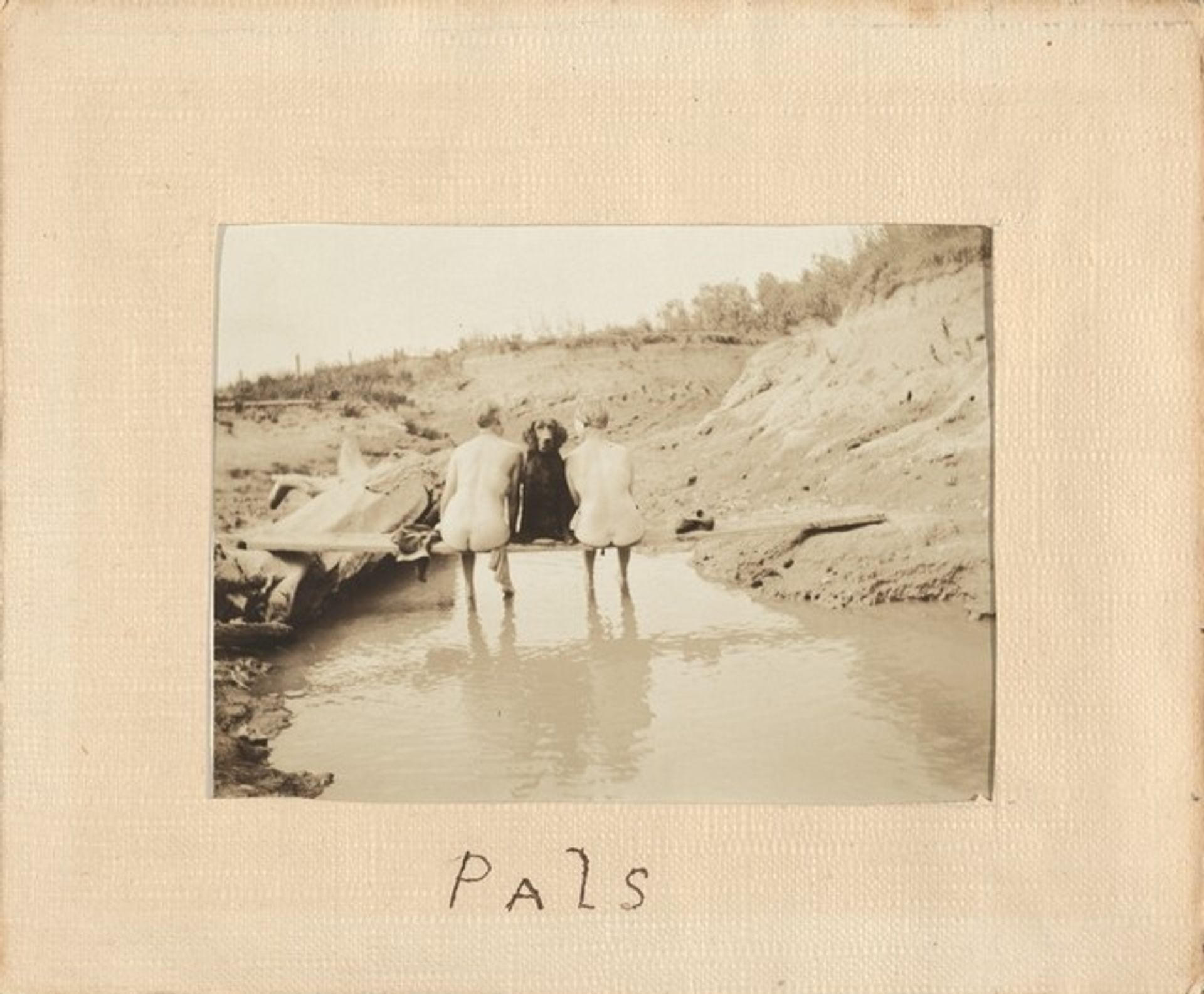 "Pals" by Anonymous