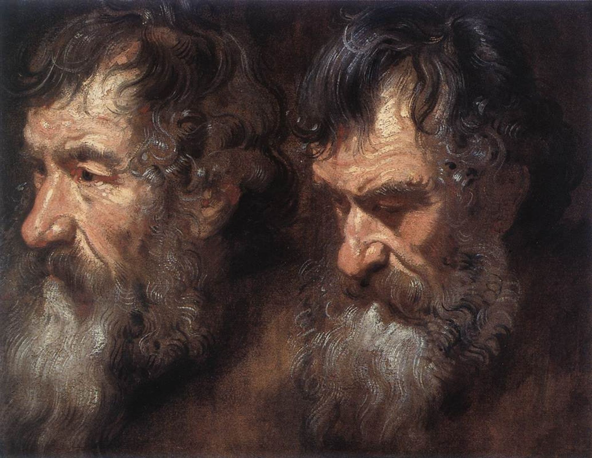 Studies of a Man's Head by Anthony van Dyck