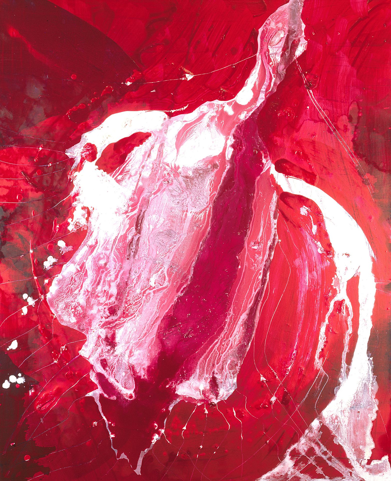 Dragon rouge by Rene Duvillier