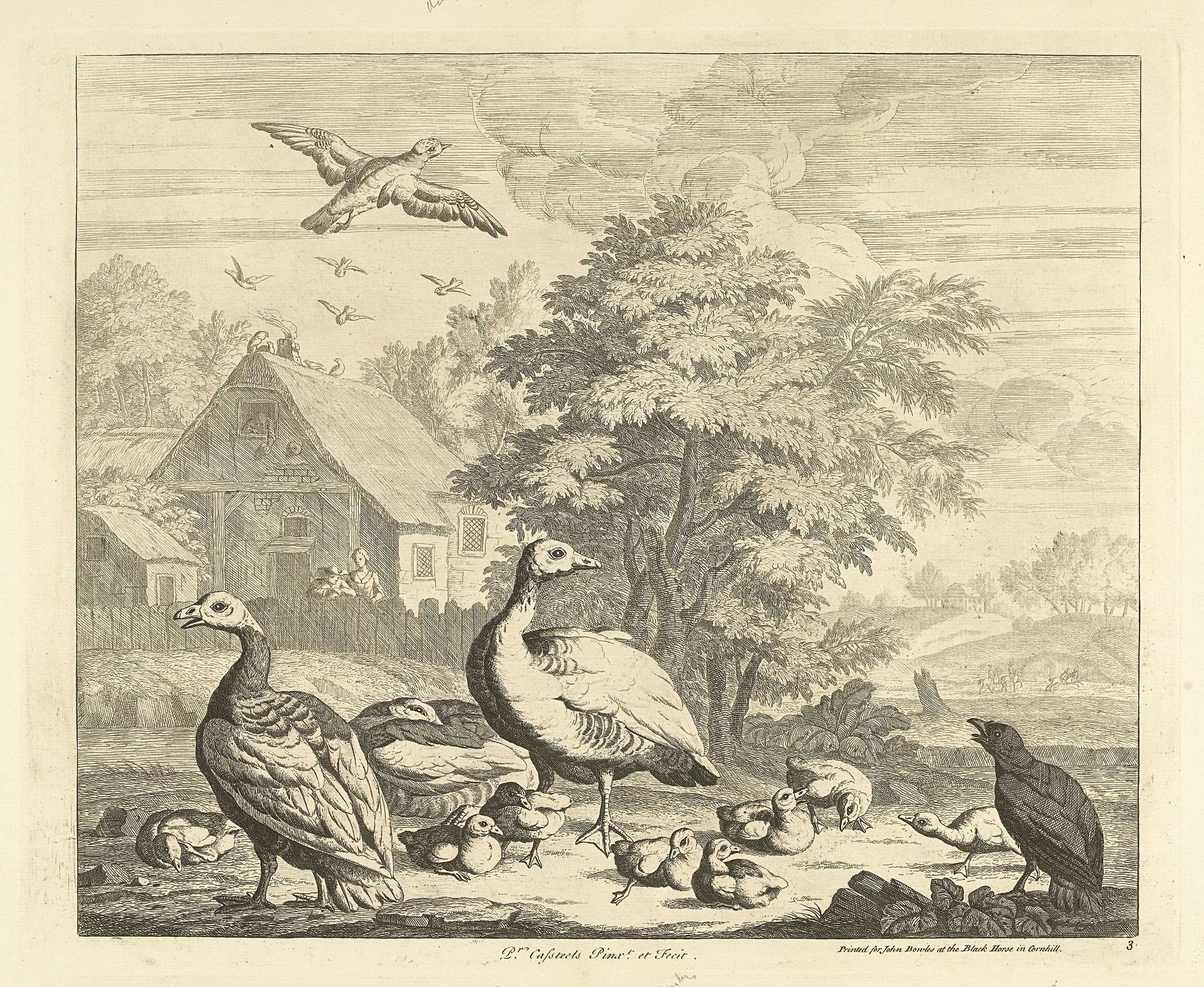Ganzen met kuikentjes bij een beek by Peter (III) Casteels