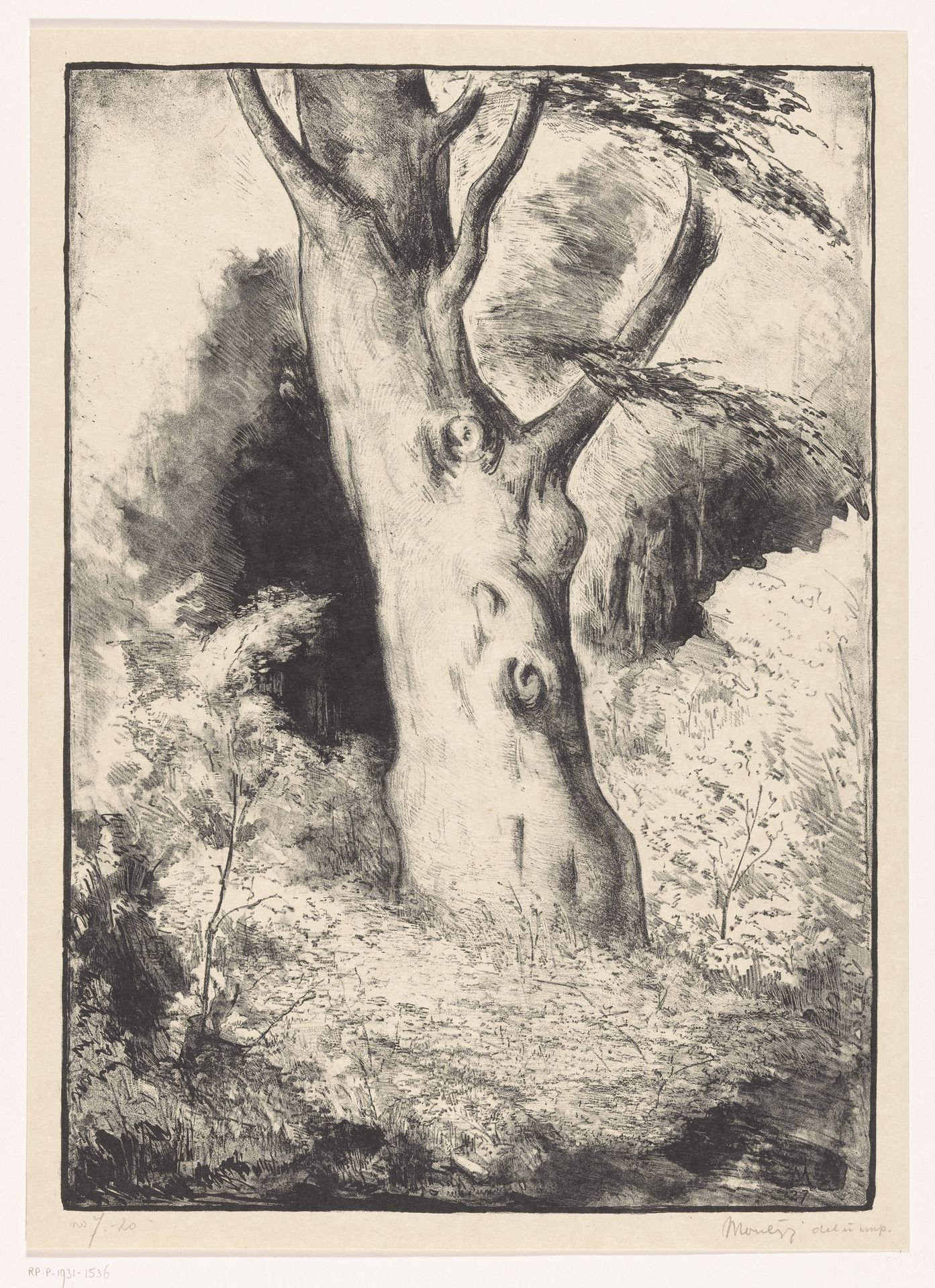 Stam van een beukenboom by Simon Moulijn