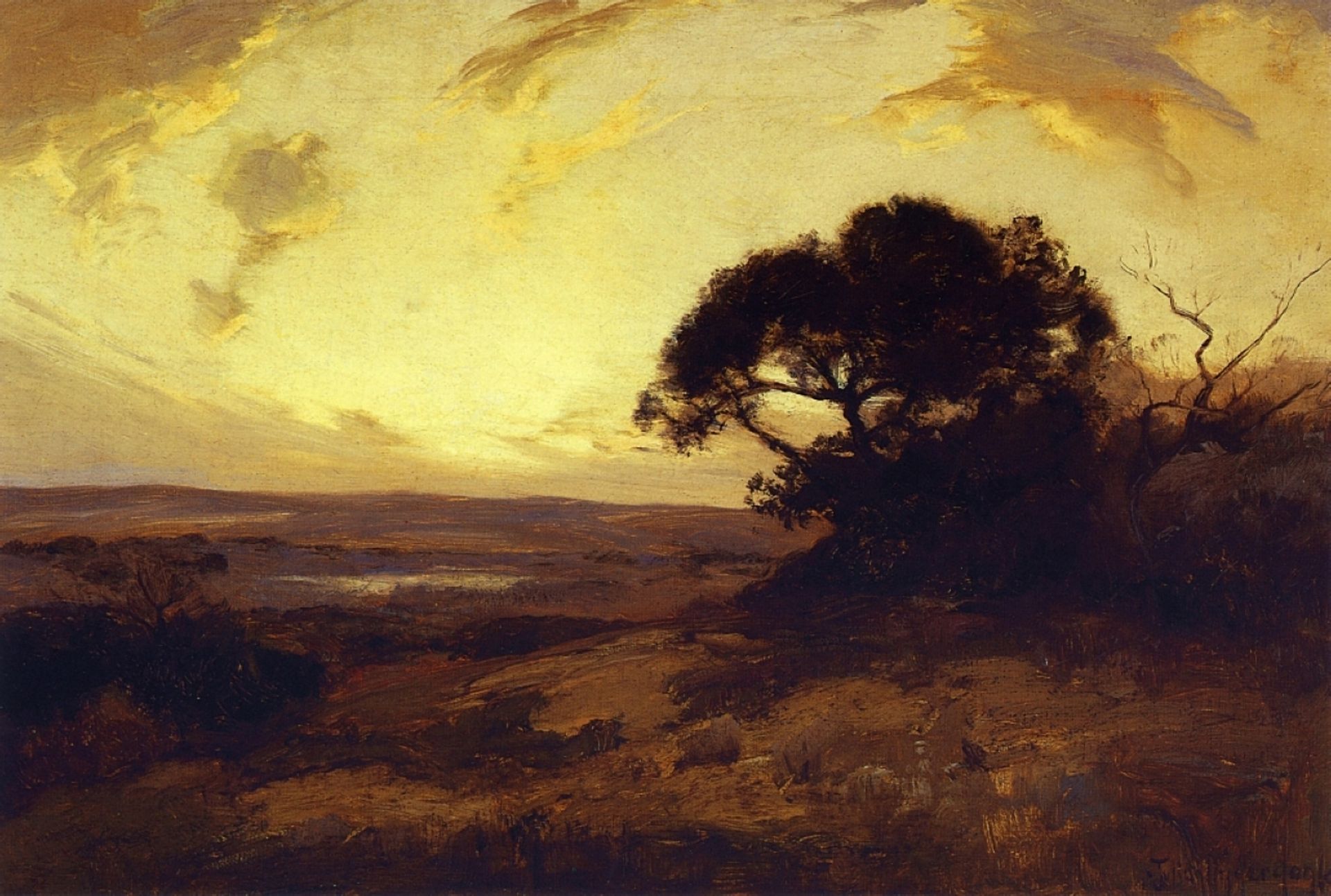 Golden Evening, Southwest Texas by Robert Julian Onderdonk