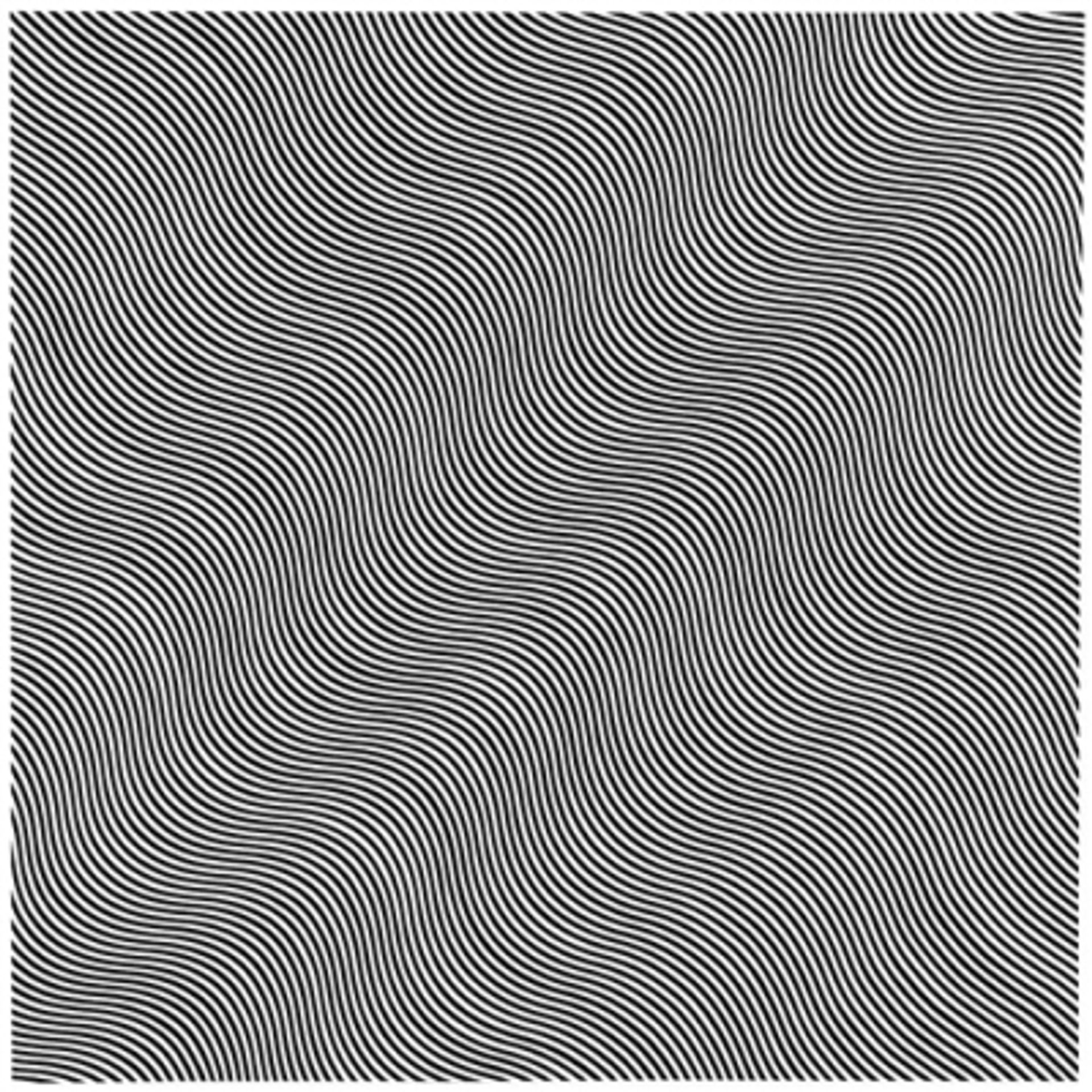 Untitled (Diagonal Curve) by Bridget Riley