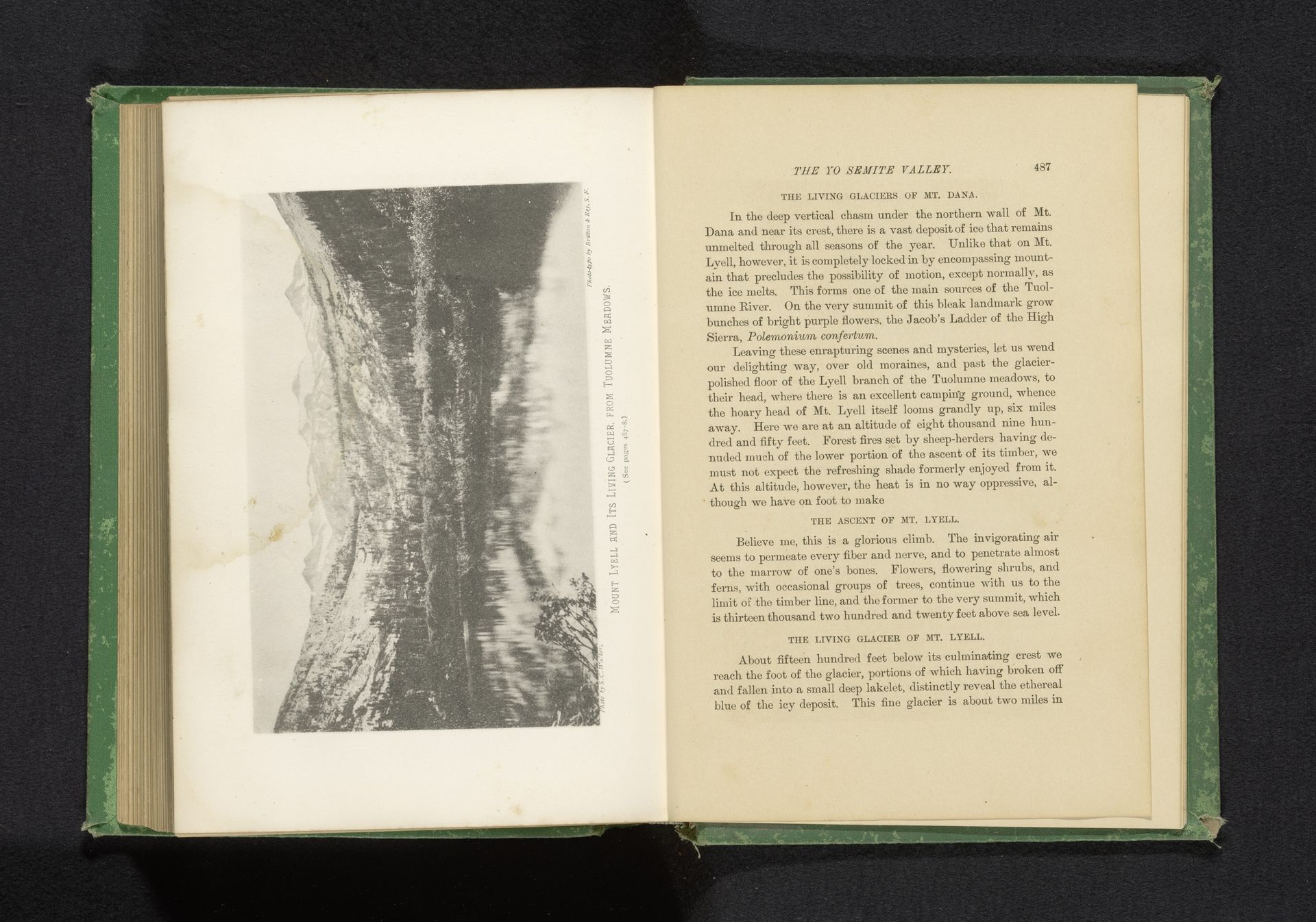 Gezicht op Mount Lyell in Yosemite Valley, Californië by S.C. Walker