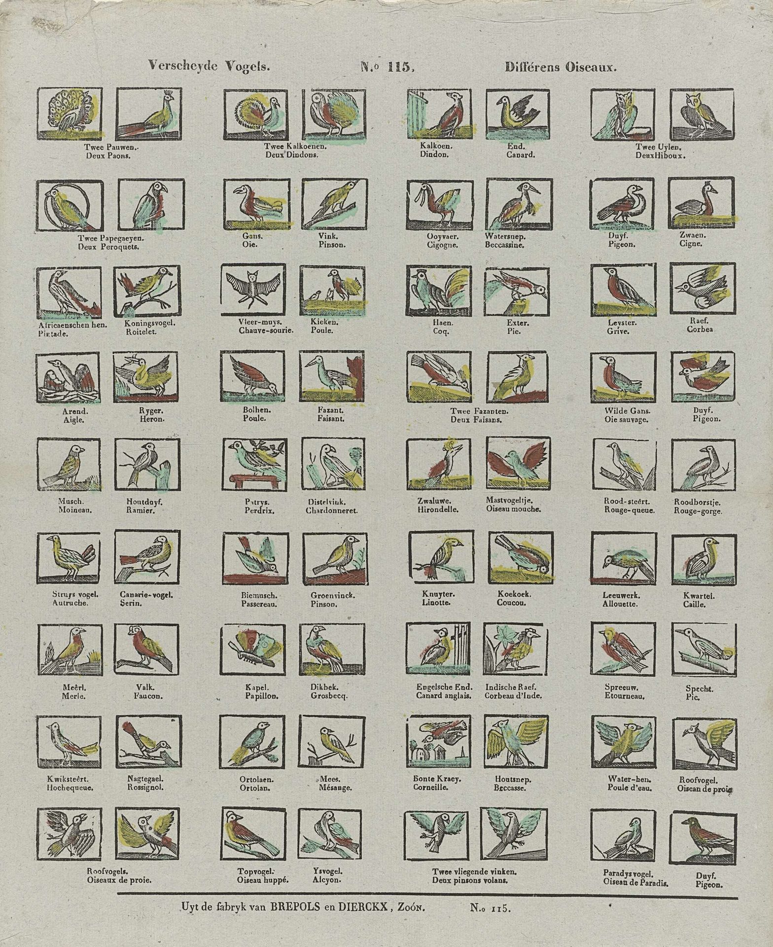 Verscheyde vogels / Différens oiseaux by Brepols & Dierckx zoon