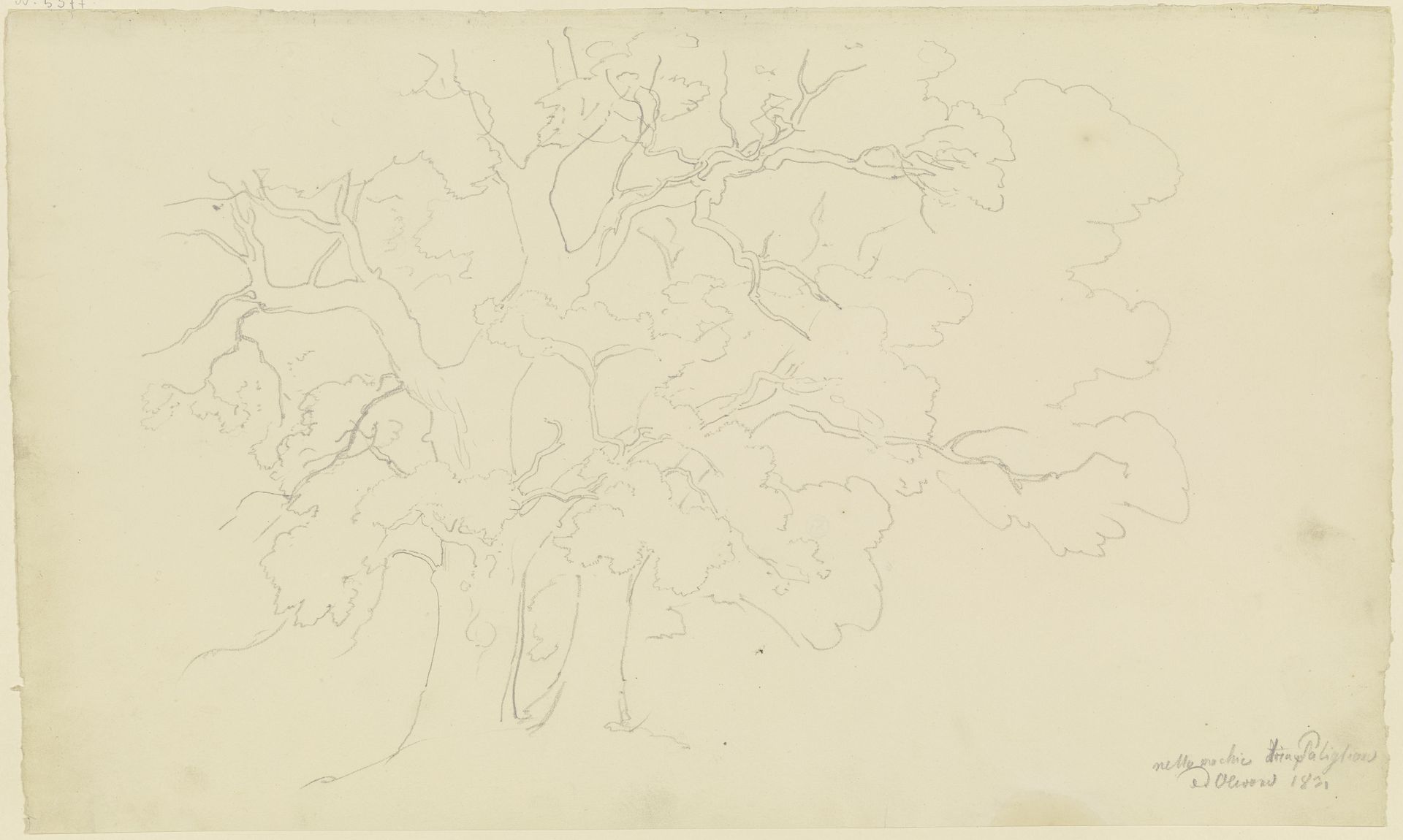 Two trees by August Lucas