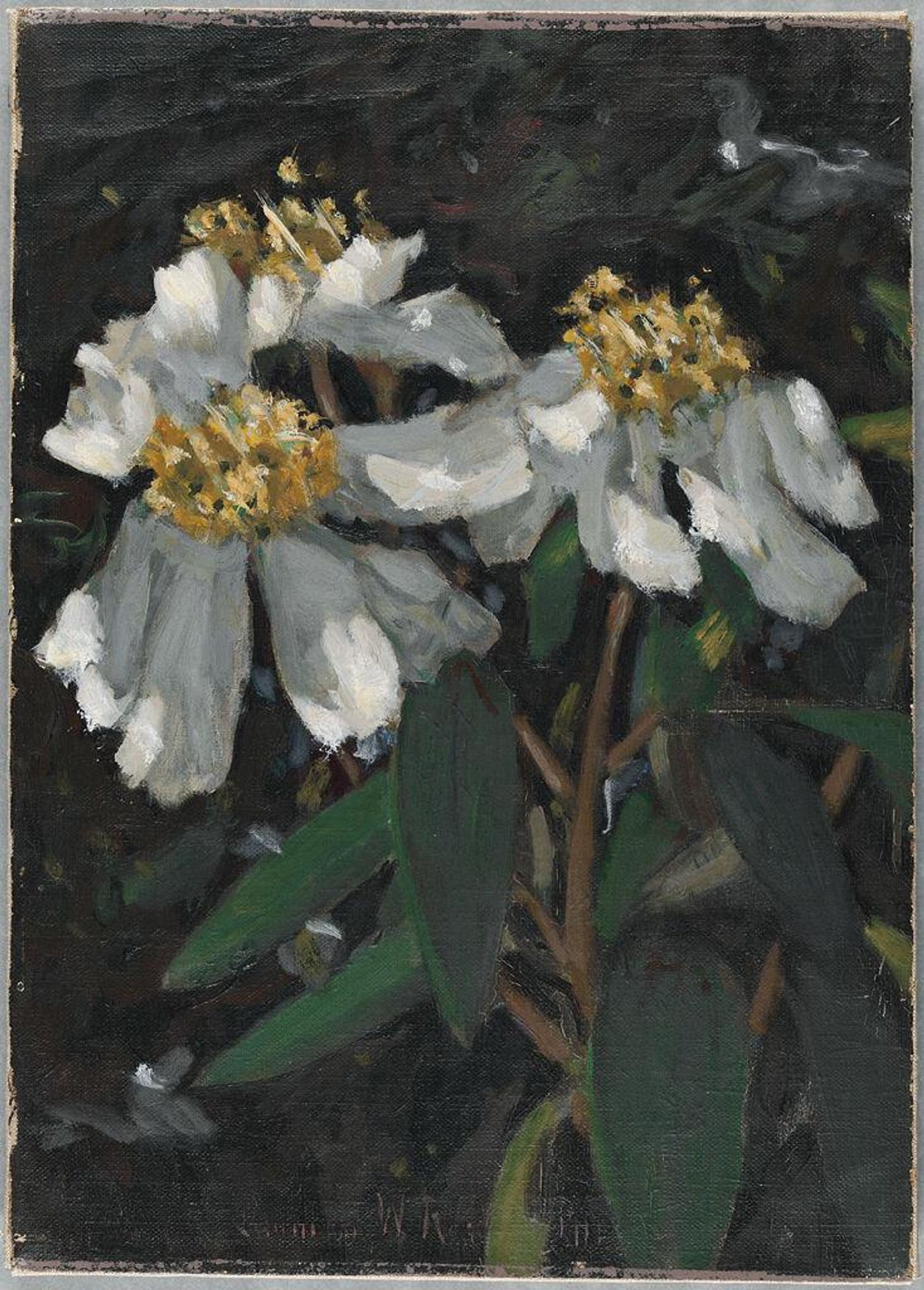 Flowers by Denman Waldo Ross
