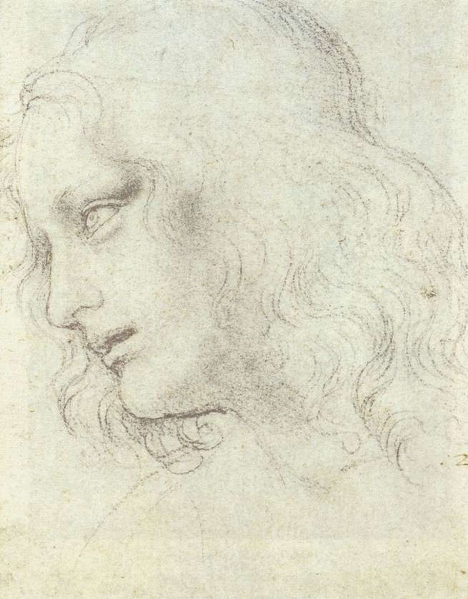 Study for the Last Supper: James by Leonardo da Vinci