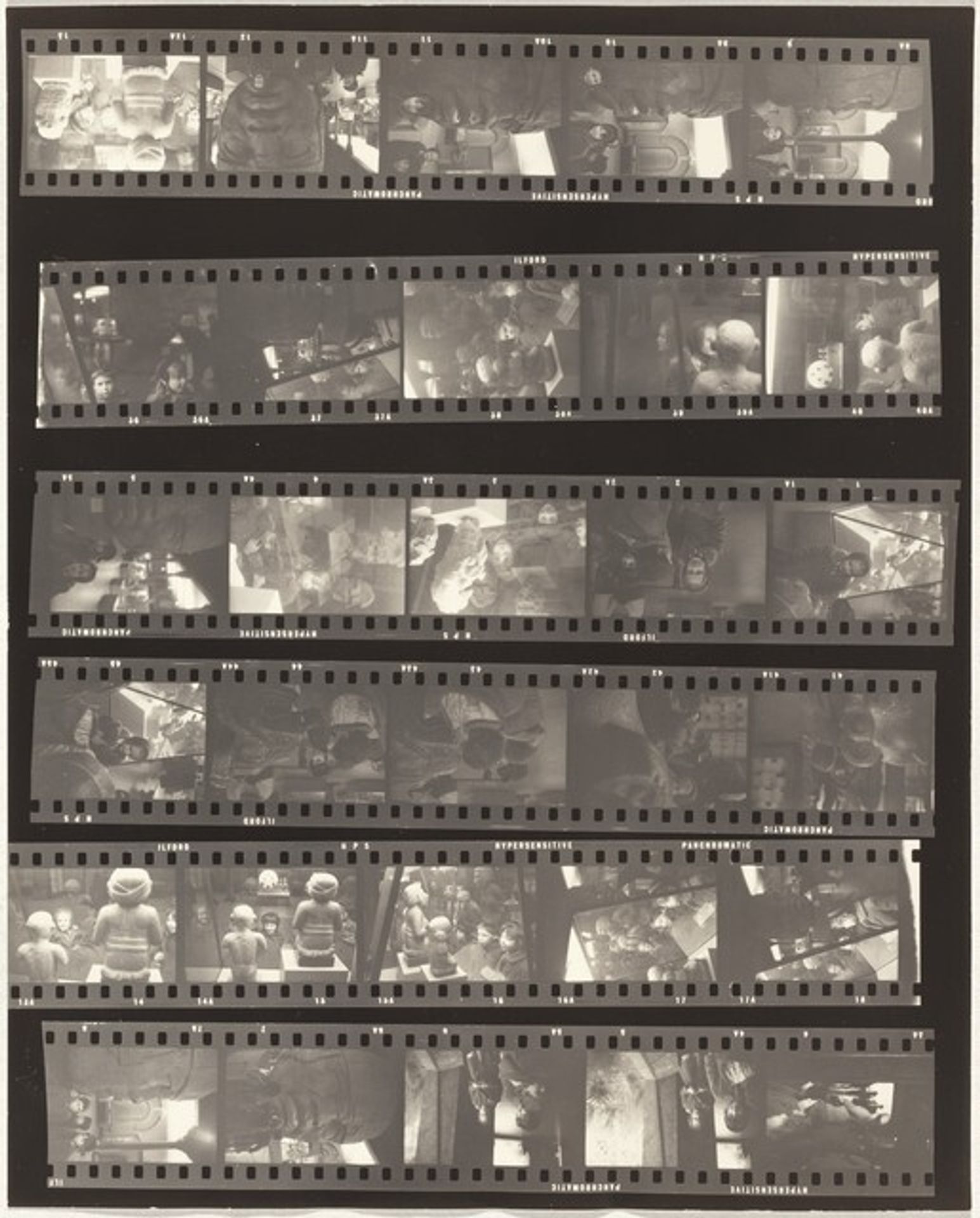 Museum of Natural History 1 by Robert Frank