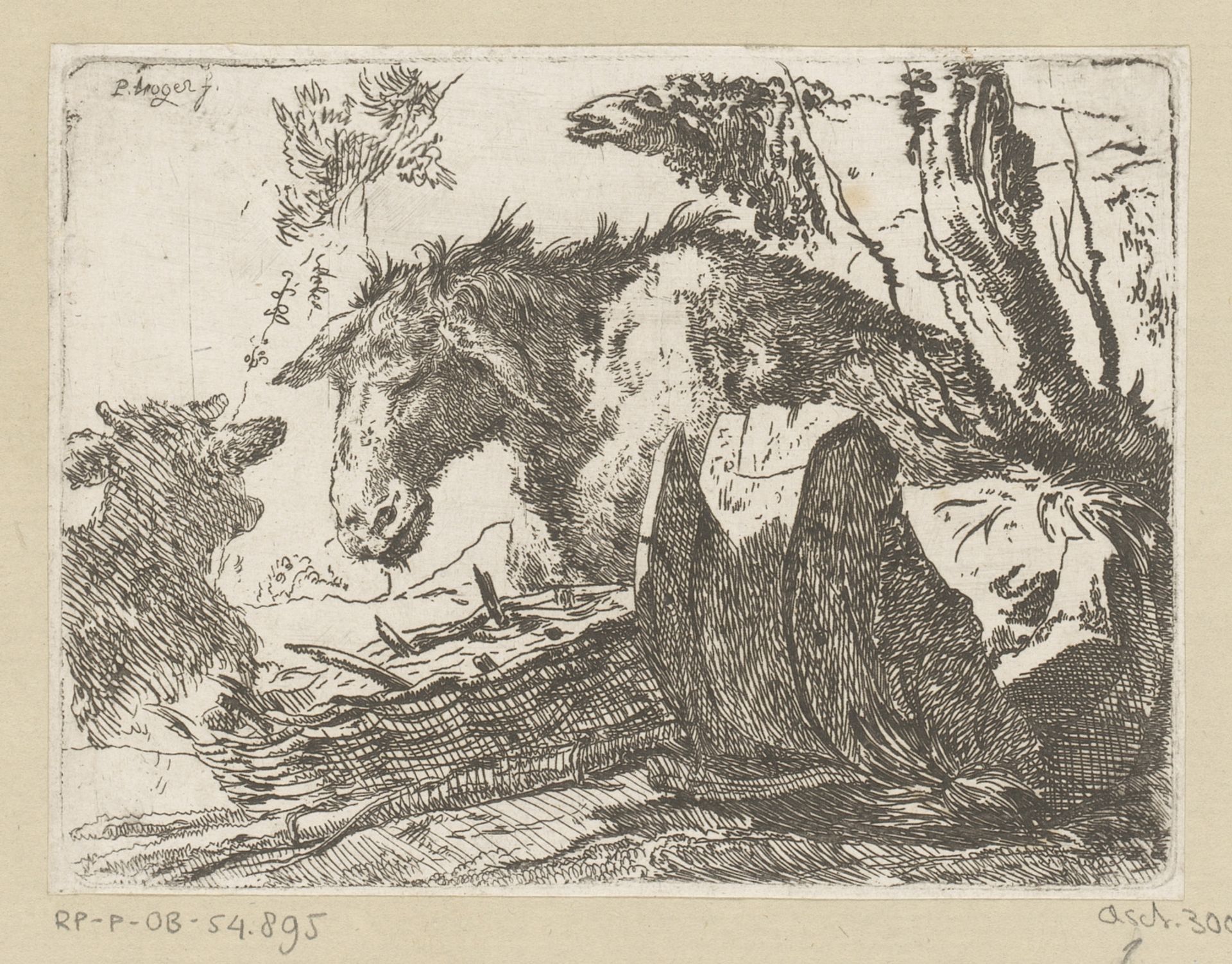 Rustende ezel by Paul Troger