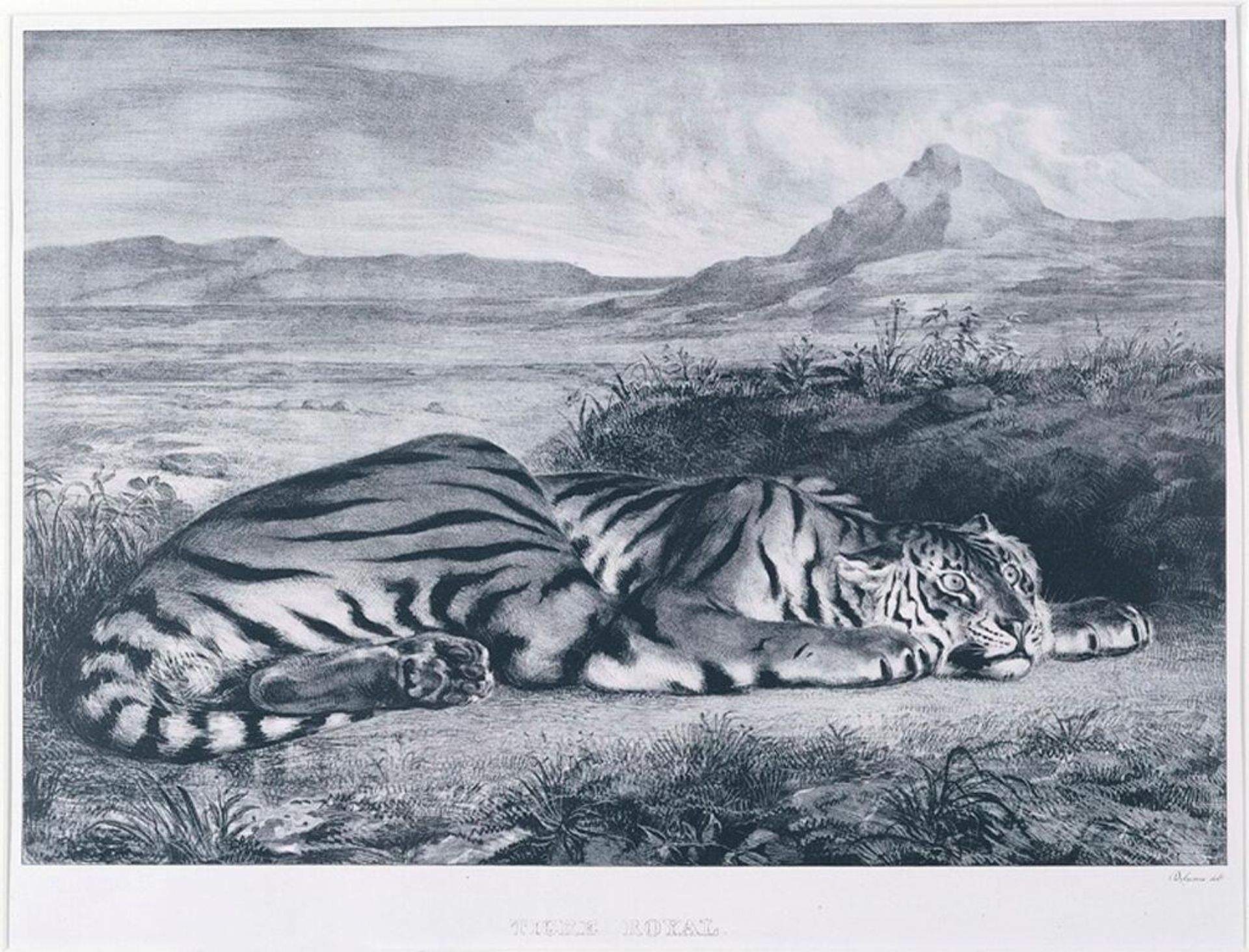 Royal Tiger by Eugène Delacroix