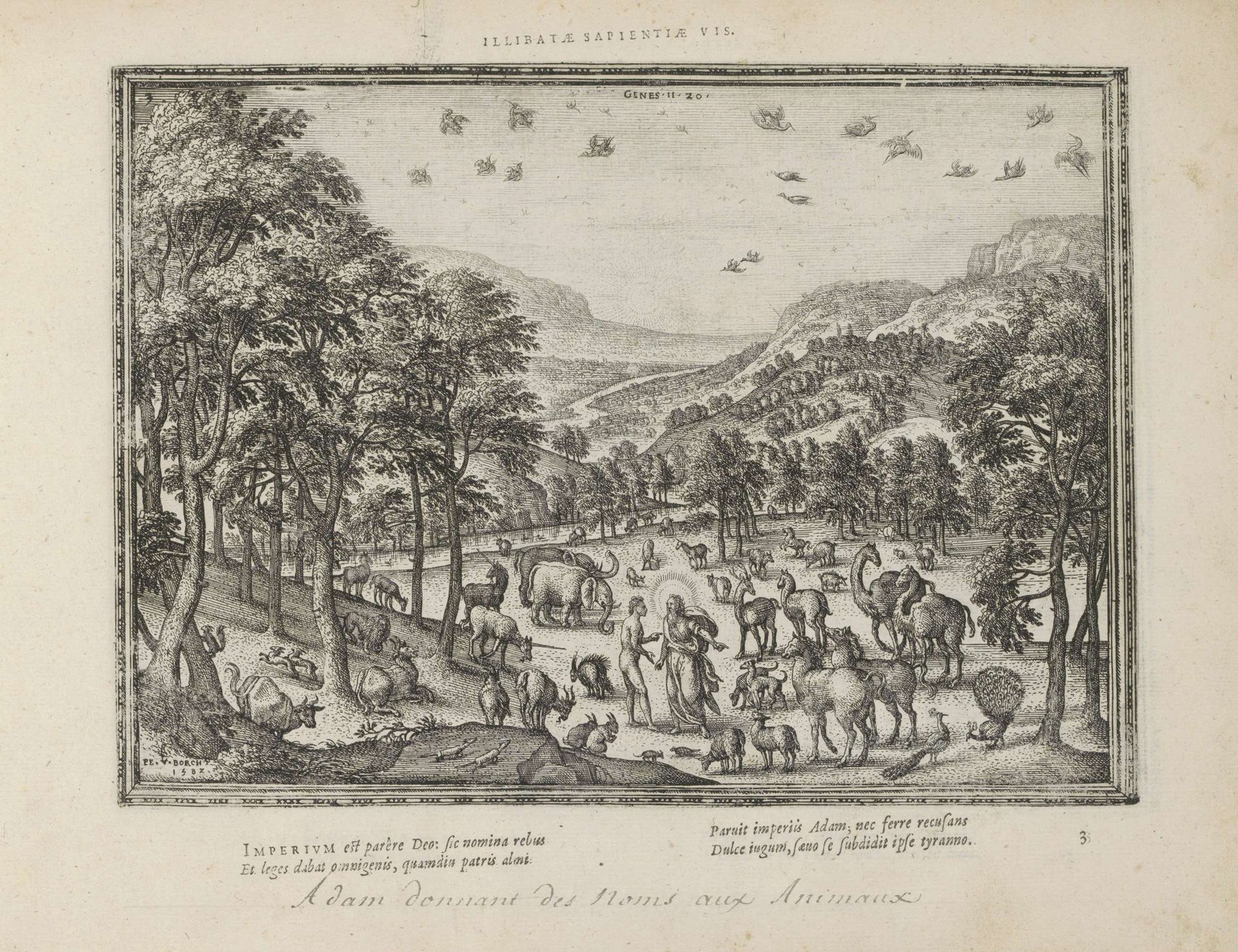 Adam geeft de dieren hun namen by Pieter van der (I) Borcht