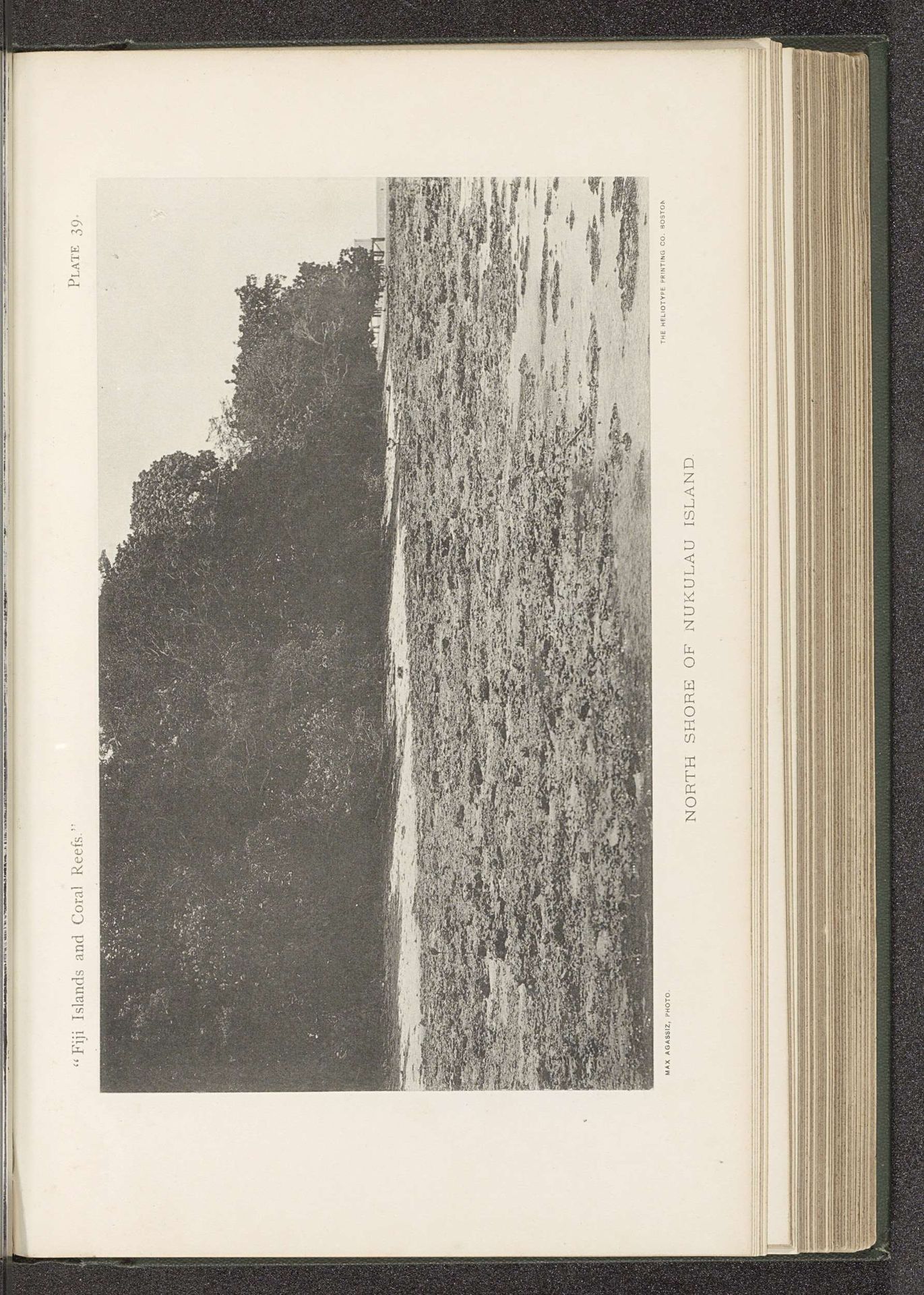 Gezicht op de kust van Nukulau by Maximilian Agassiz