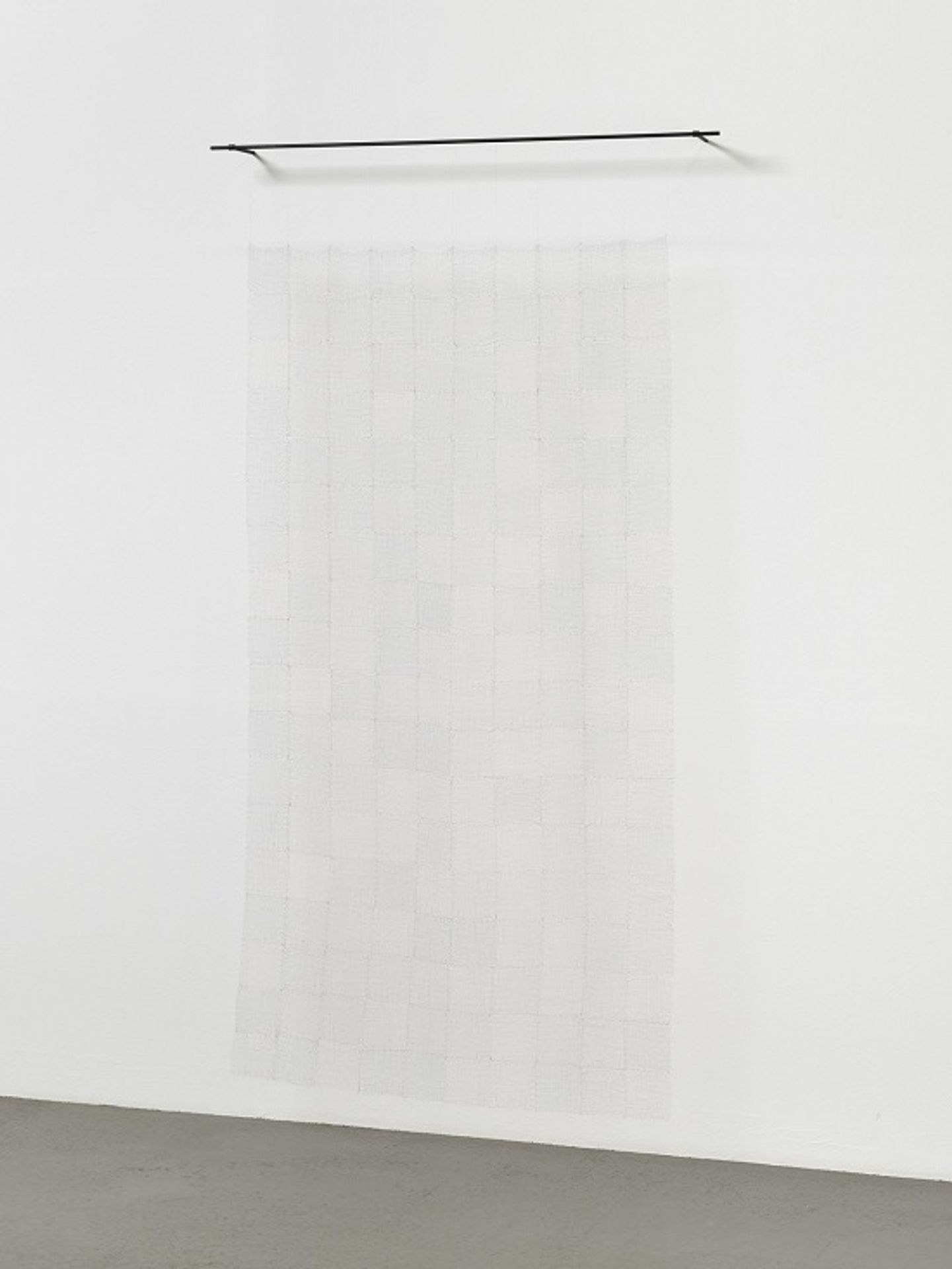 Hair Mesh by Mona Hatoum
