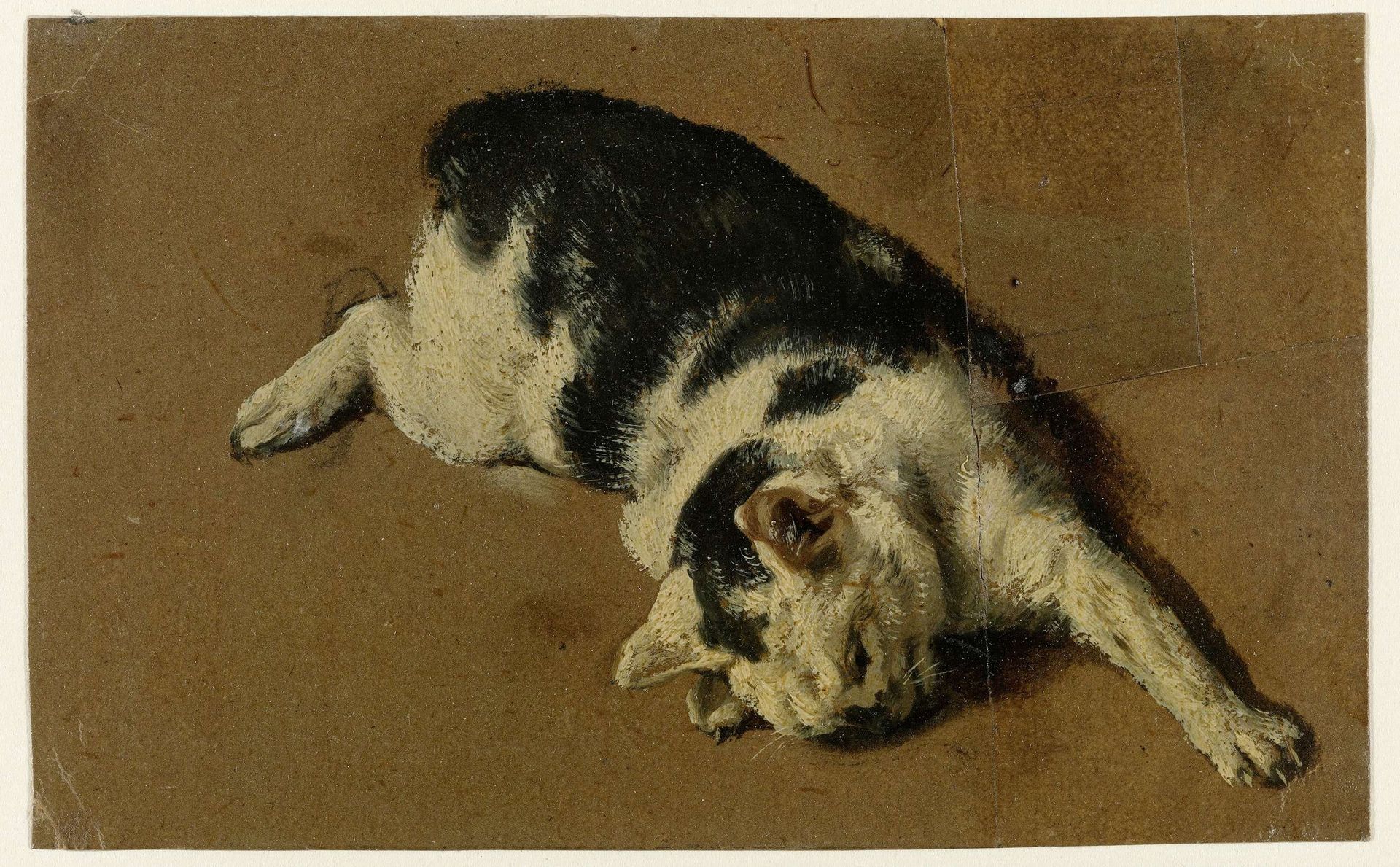 Kat liggend op de zij, de linkervoorpoot uitgestrekt by Adriaen van de Velde