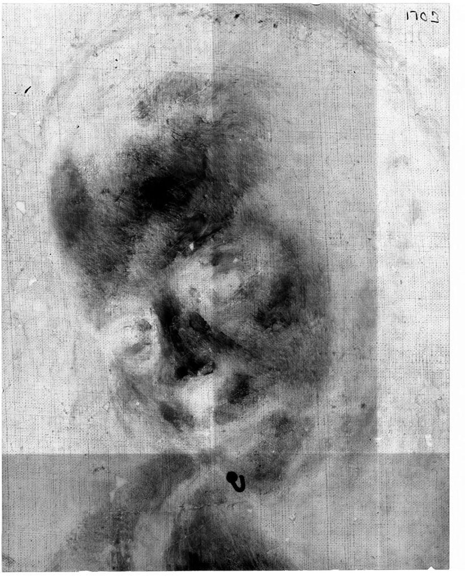 X-radiograph(s) of "An Architect" by Artist of original: Abraham van Dyck