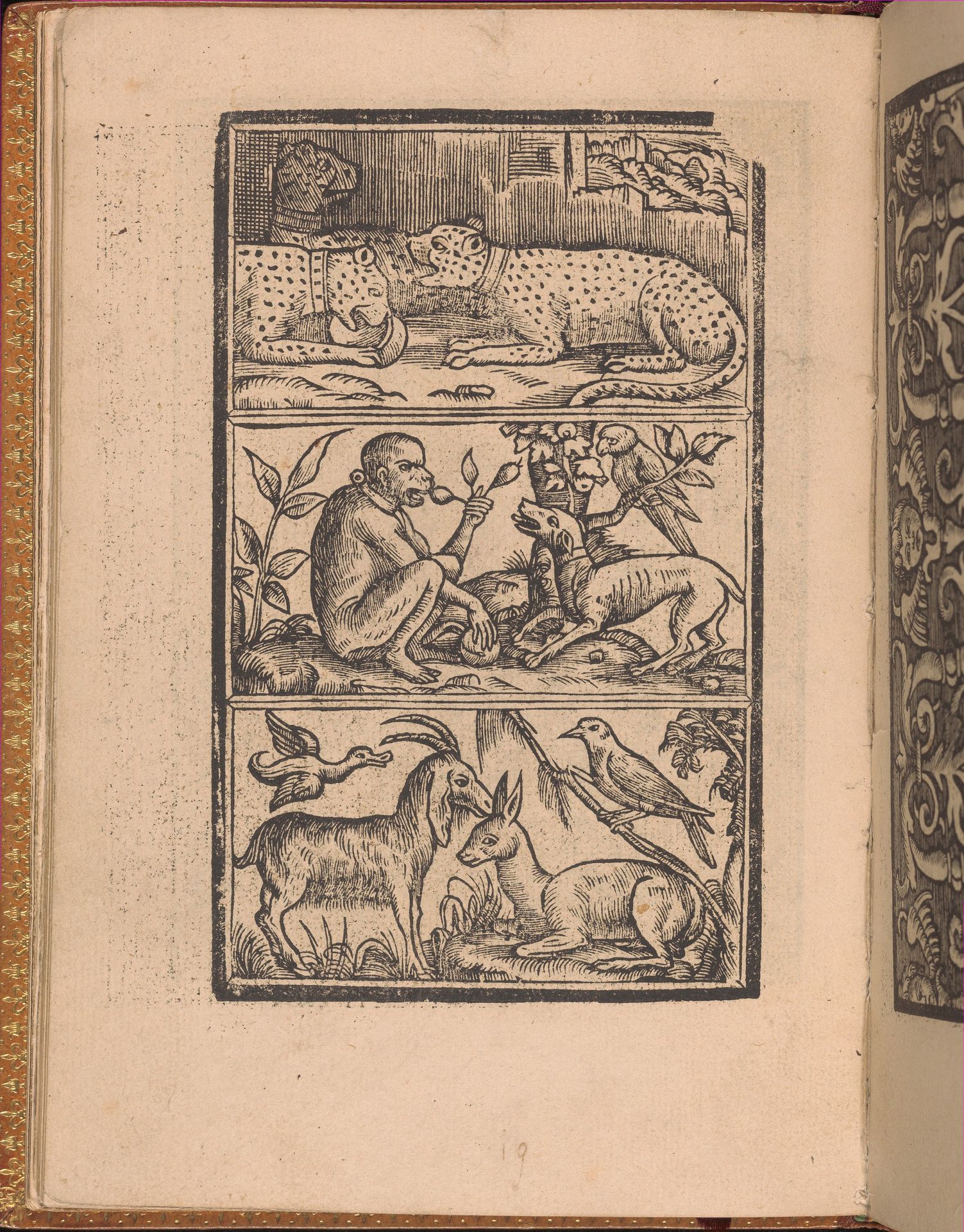 Convivio delle Belle Donne, page 11 (verso) by Nicolò Zoppino