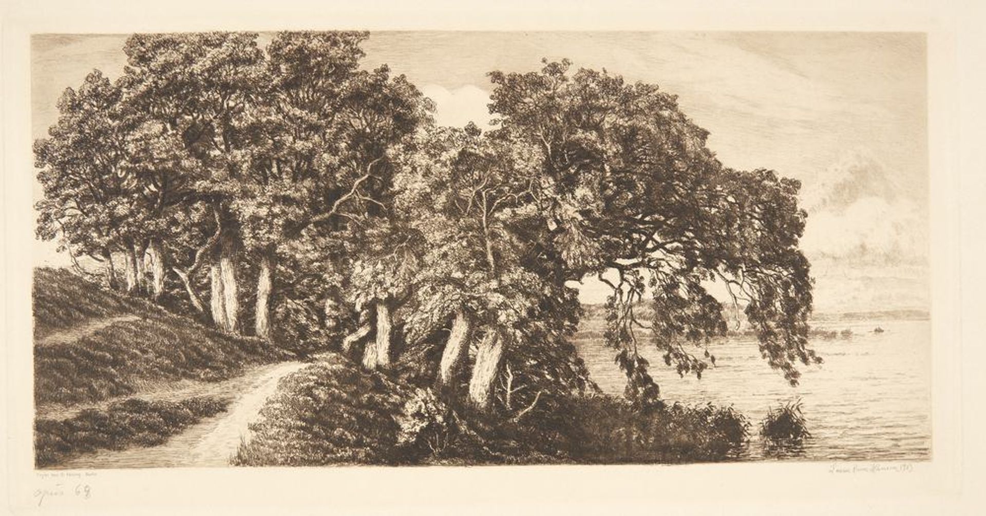 Gamle ege ved Hald Sø by Louise Ravn-Hansen