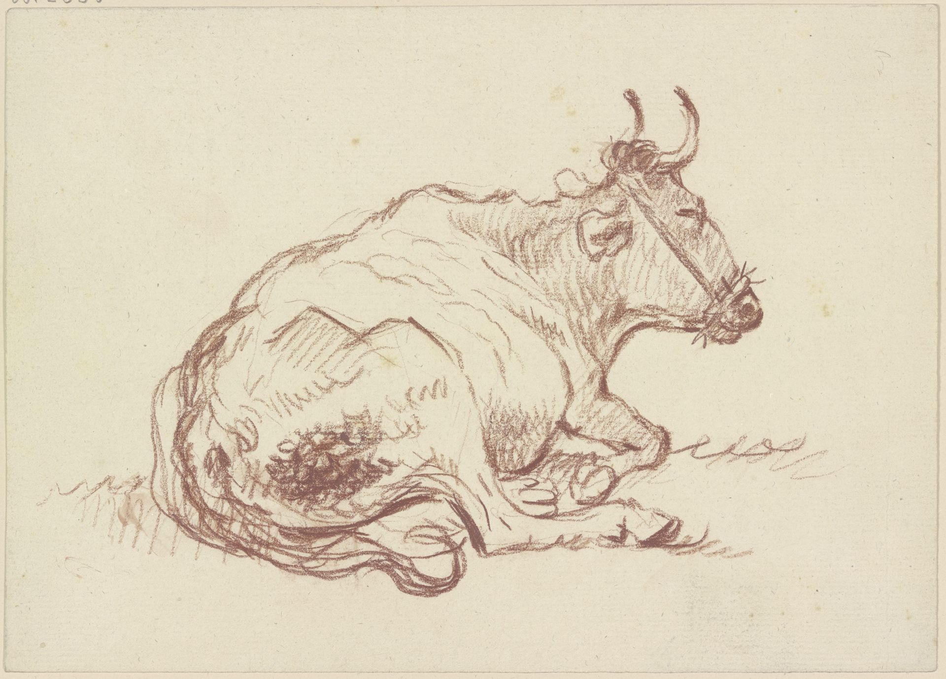 Lying cow to the right by Friedrich Wilhelm Hirt
