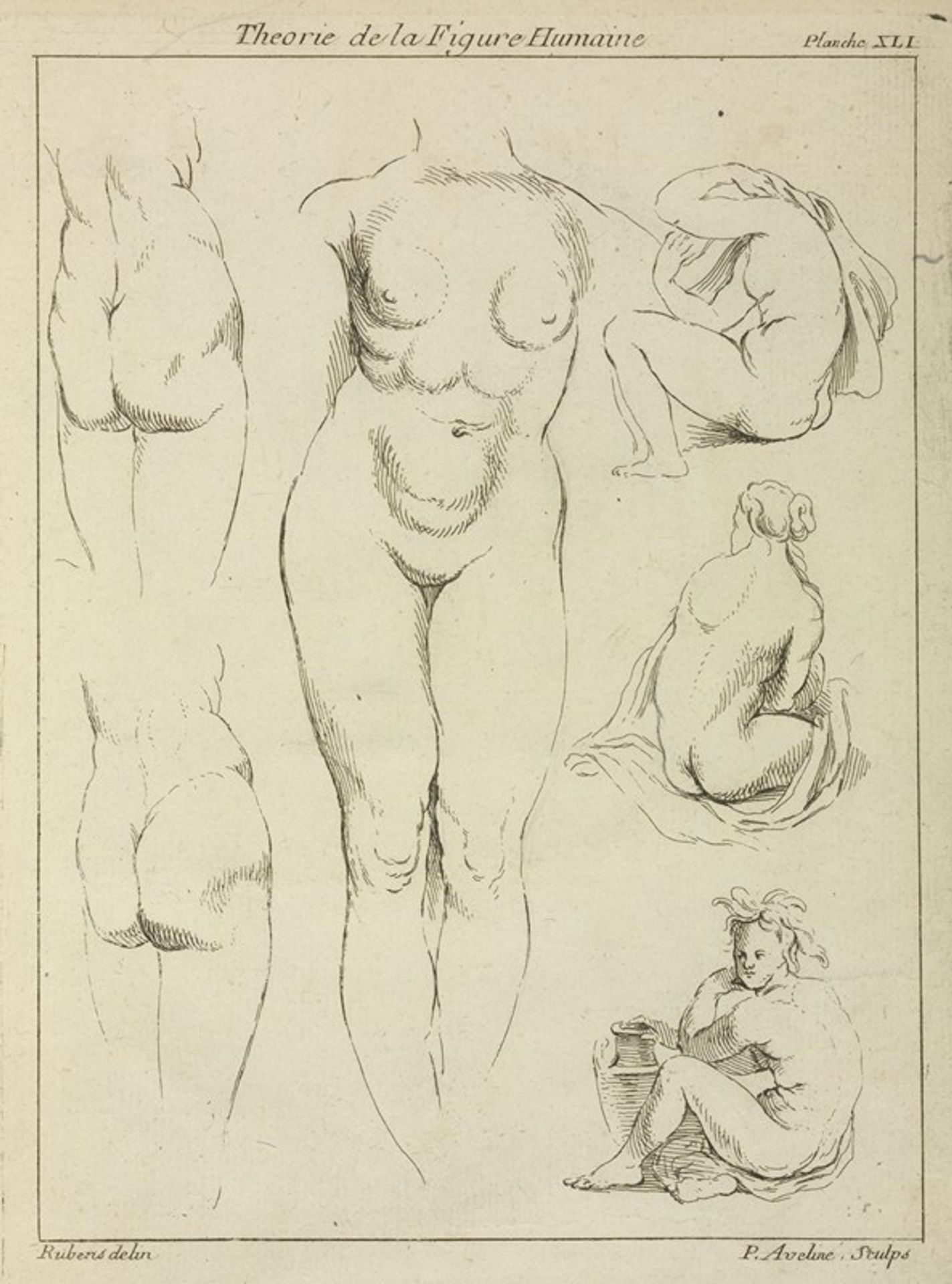 Studies of the female torso, buttocks, and seated figures, dorsal view by Peter Paul Rubens