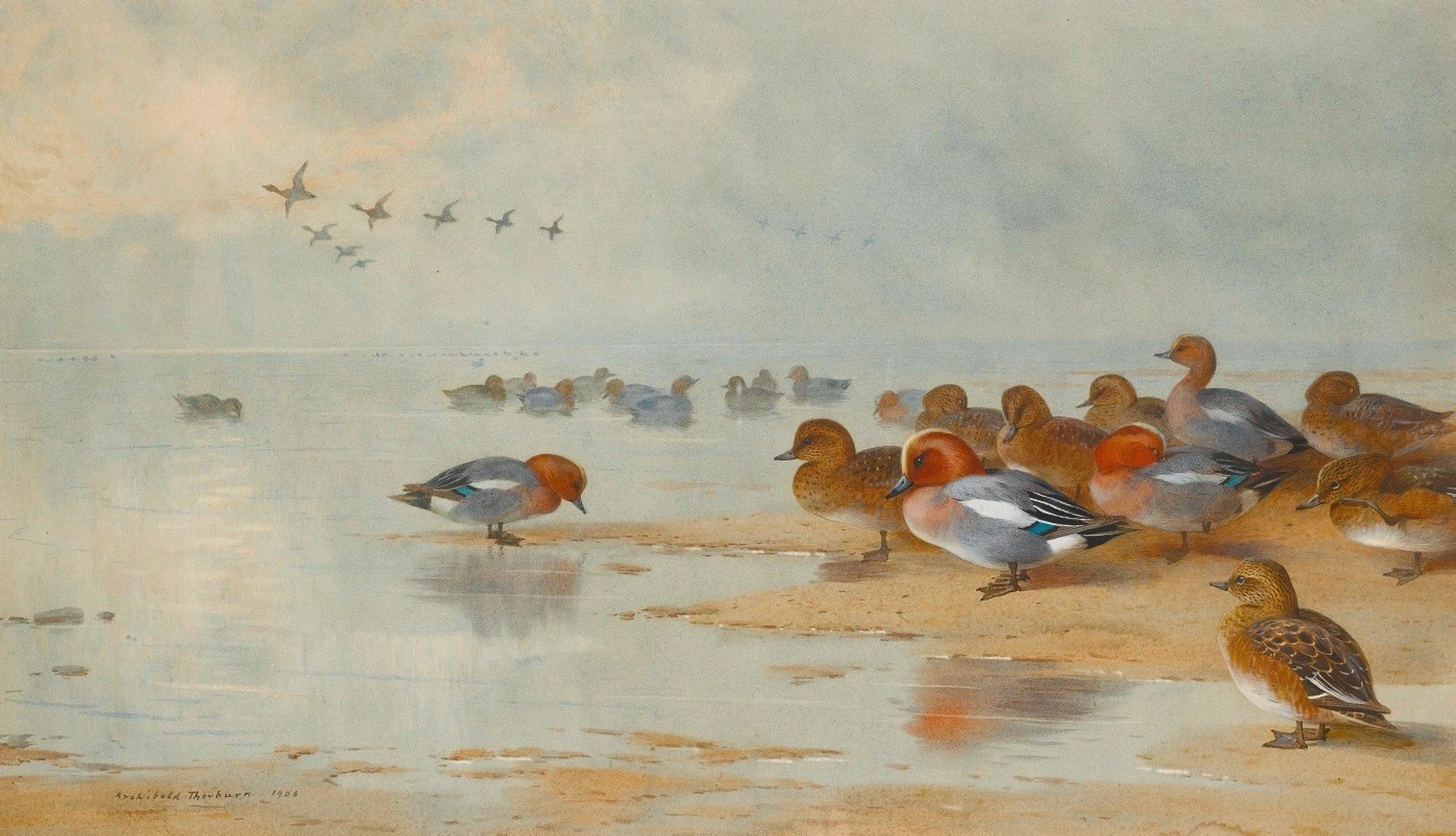 Wigeon And Teal By The Water’s Edge by Archibald Thorburn