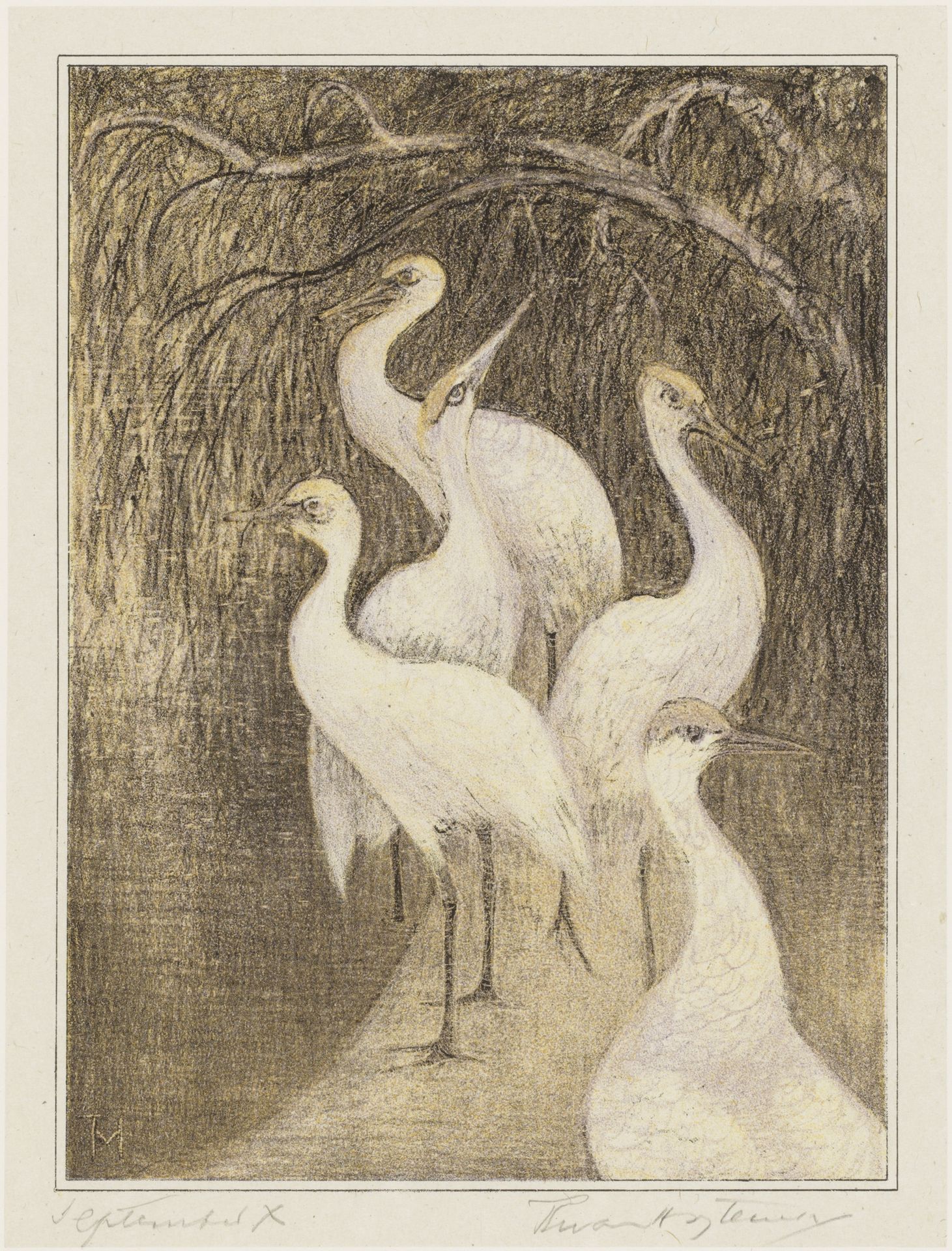Zes kraanvogels aan de waterkant by Theo van Hoytema