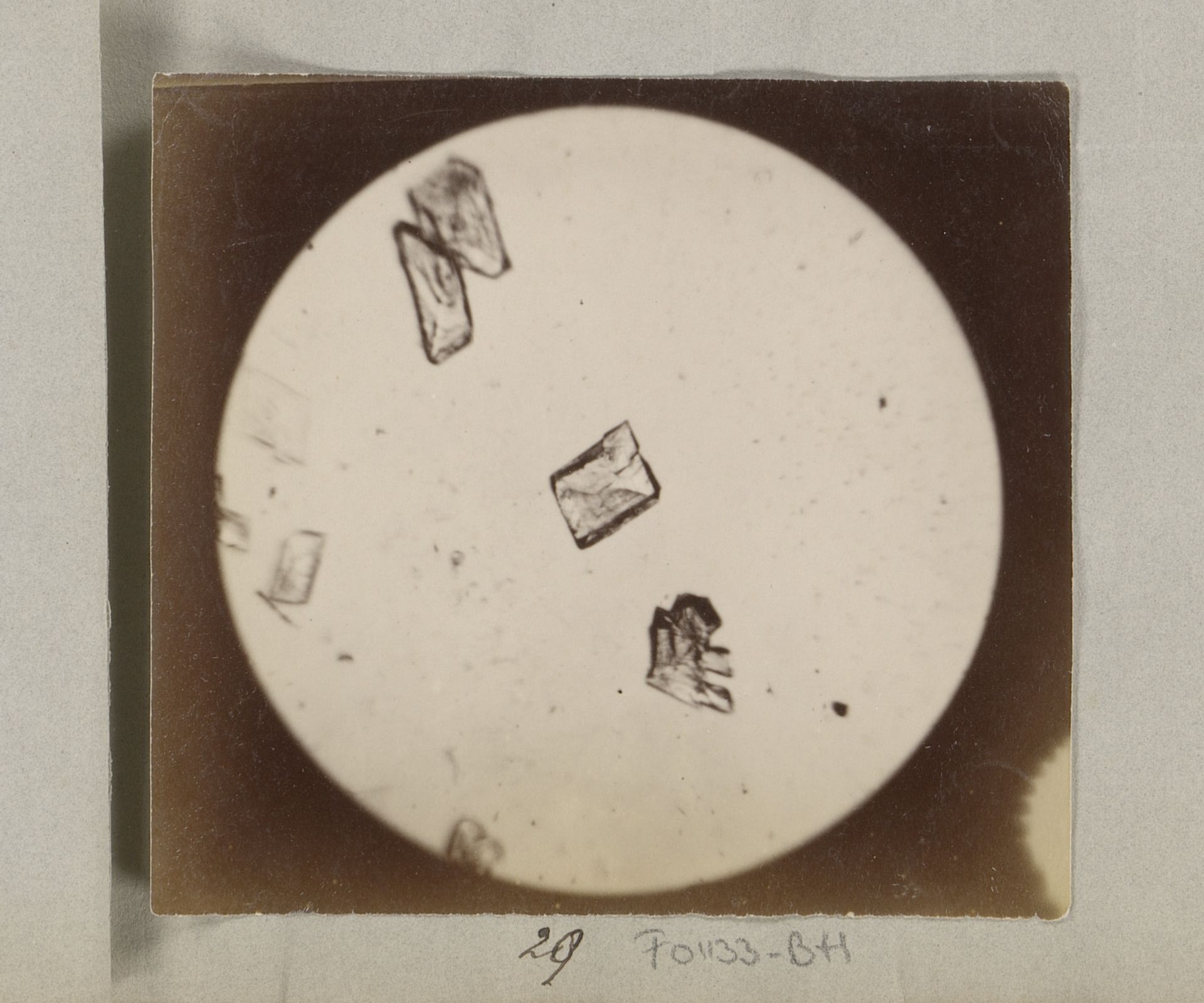 Microscopische opname van kristallen, zestig keer vergroot by Marinus Pieter Filbri