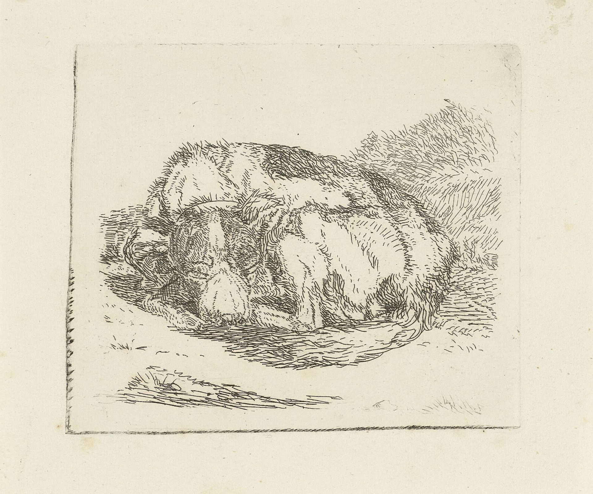 Slapende hond by Jan Dasveldt