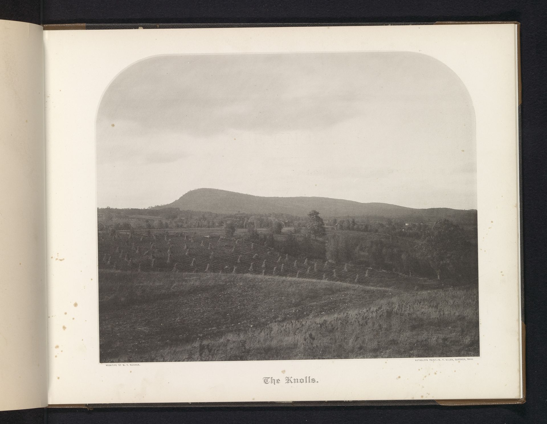 "The Knolls" by M.P. Warner
