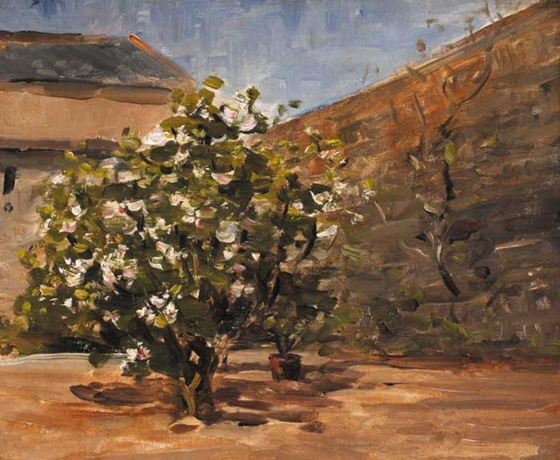 STUDY. TREE IN COURTYARD by Nathaniel Hone the Younger