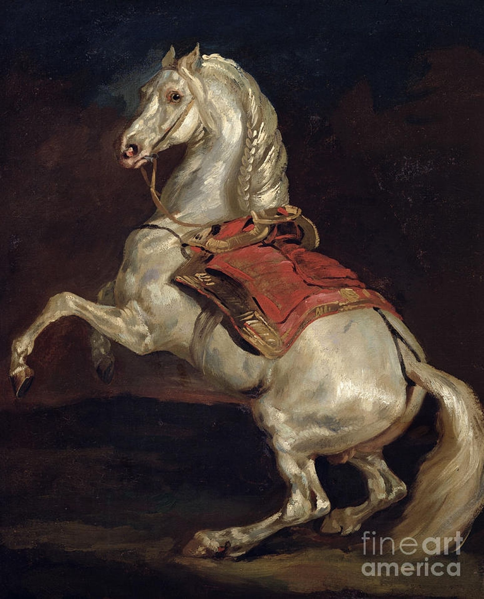Napoleon's Stallion, Tamerlan by Théodore Géricault