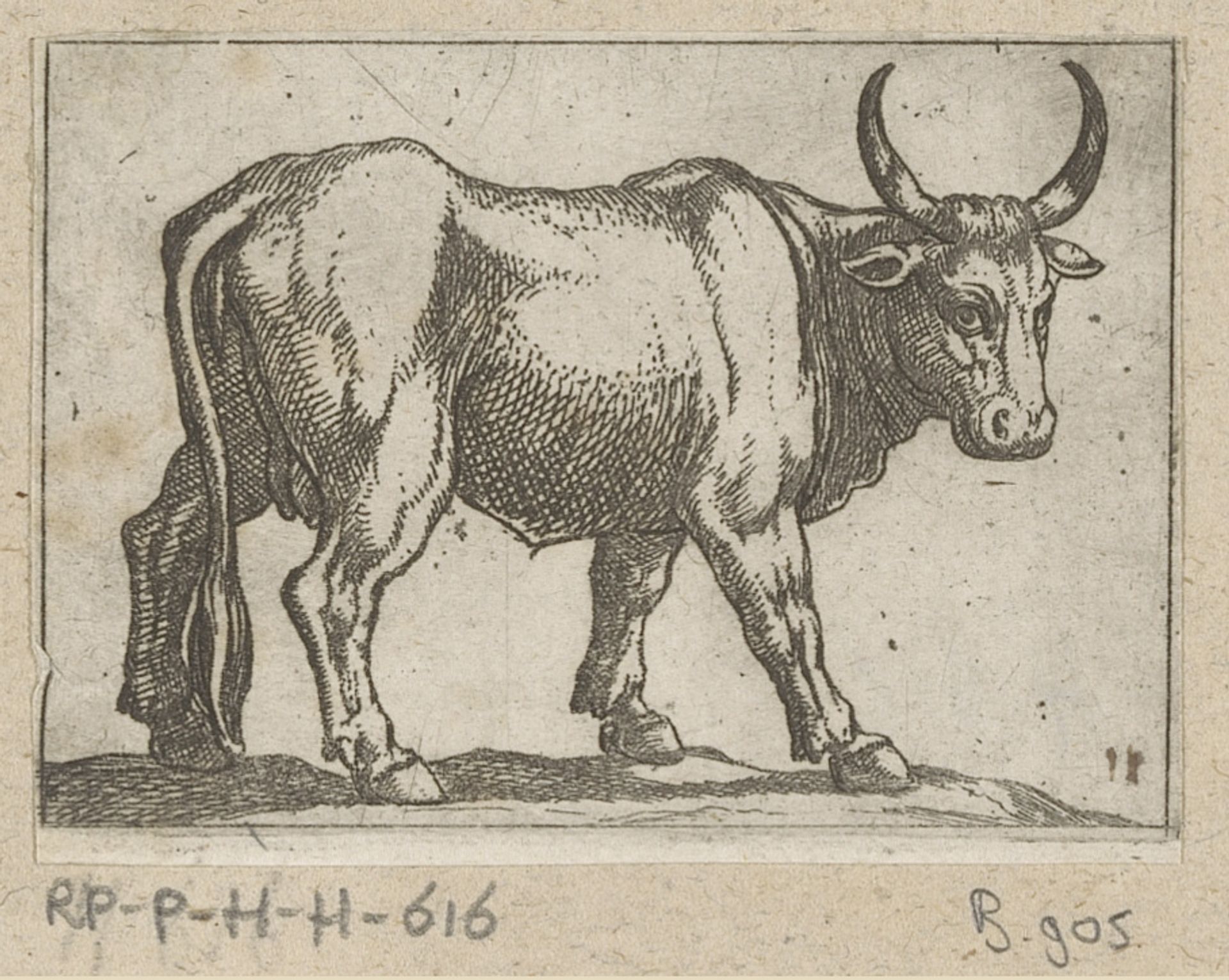 Staande stier naar rechts gewend by Antonio Tempesta