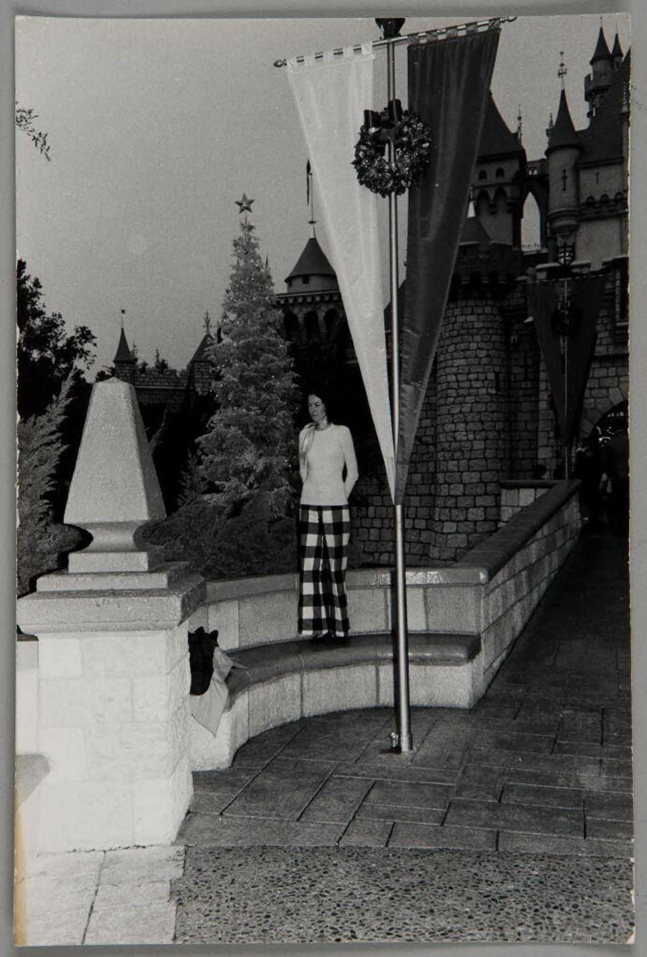Untitled (Disneyland) by Bill Dane