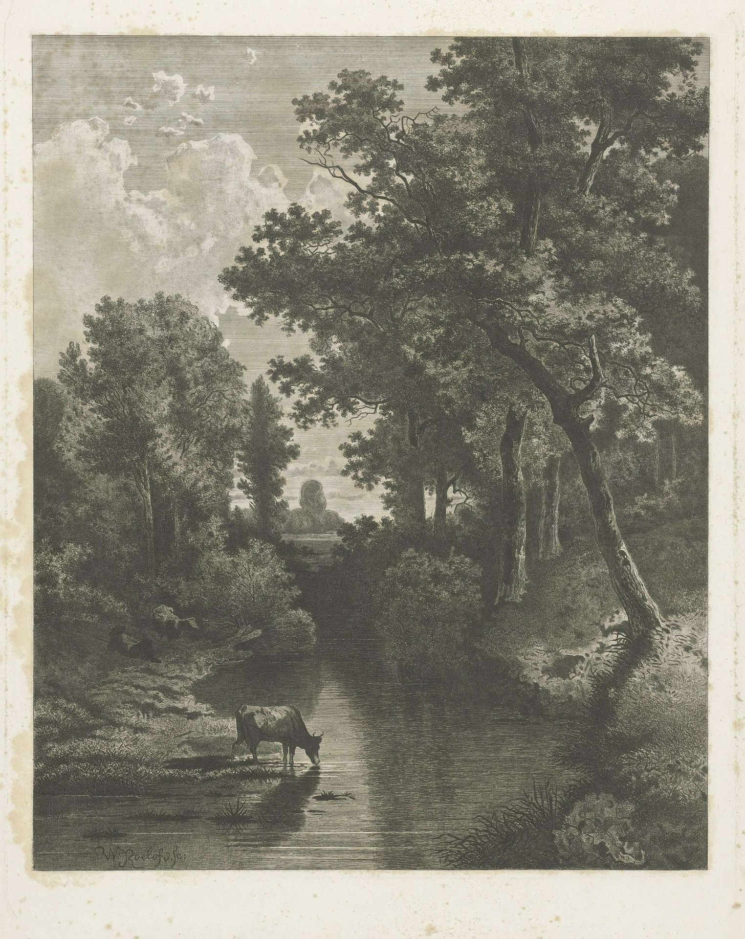 Bosgezicht met koeien bij een beek by Jan van Lokhorst