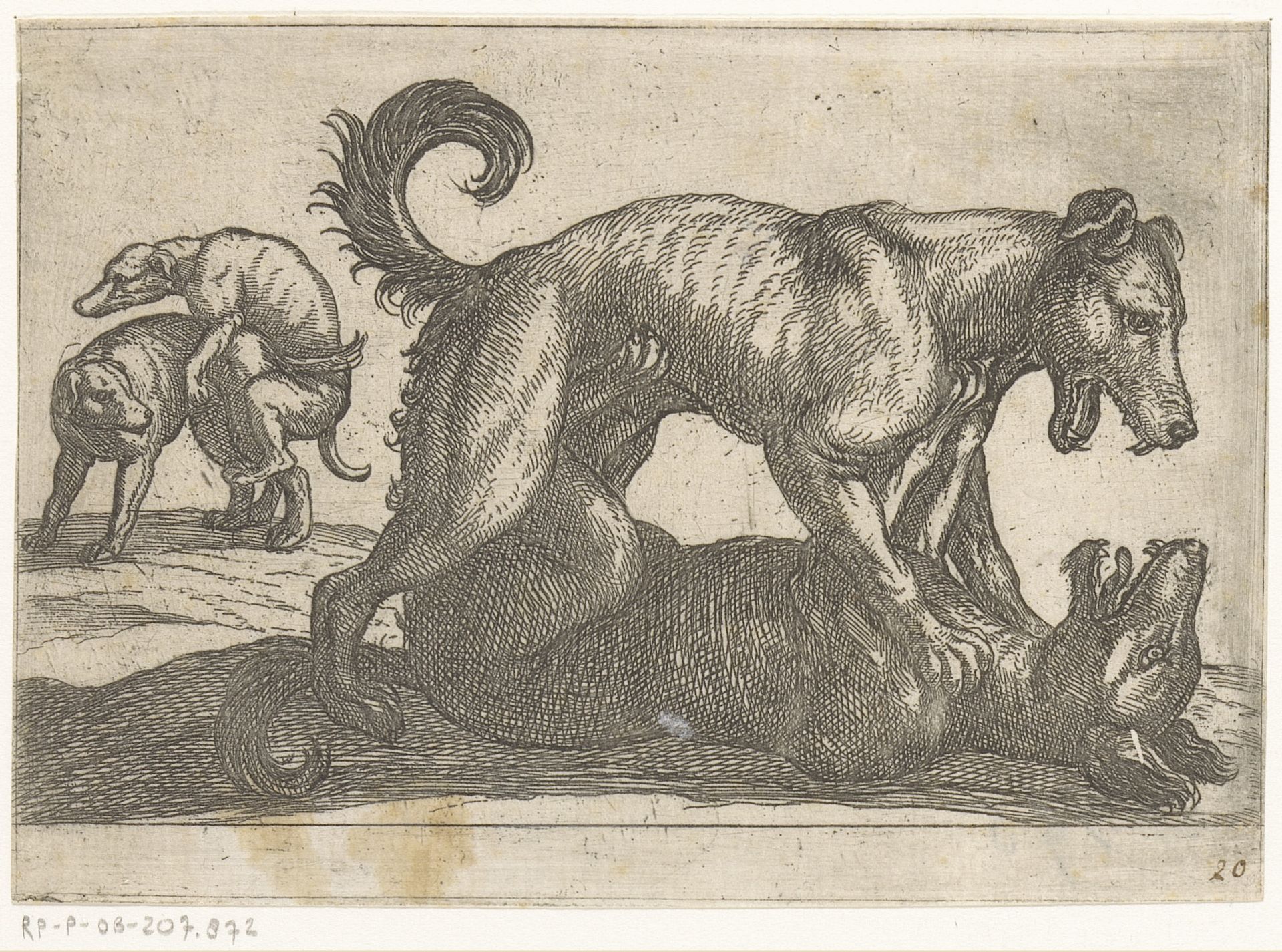 Twee parende en twee vechtende honden by Antonio Tempesta